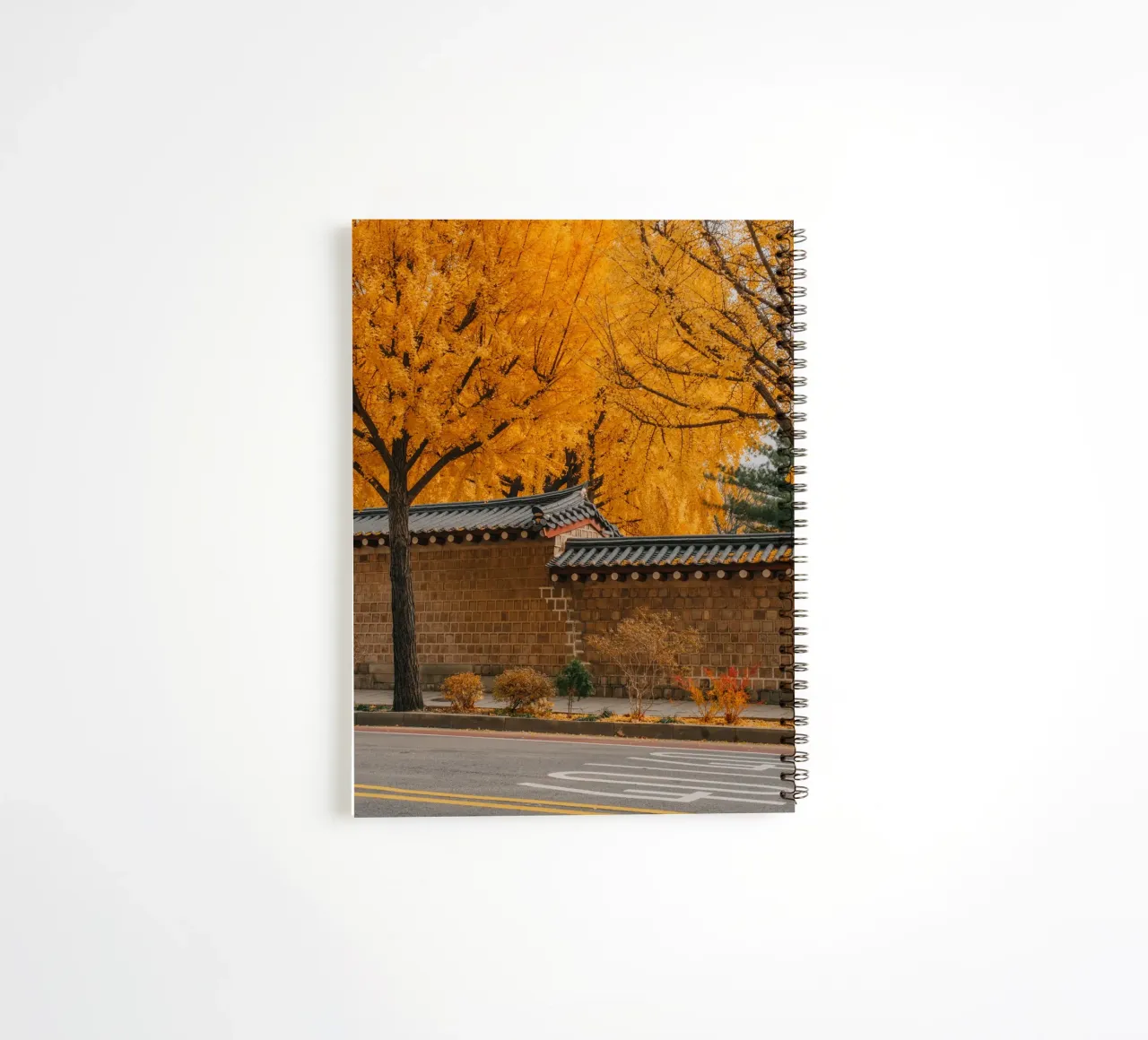 Alberi di ginkgo dorati a Seul, Corea del Sud diario ad anelli da mbgraphx2