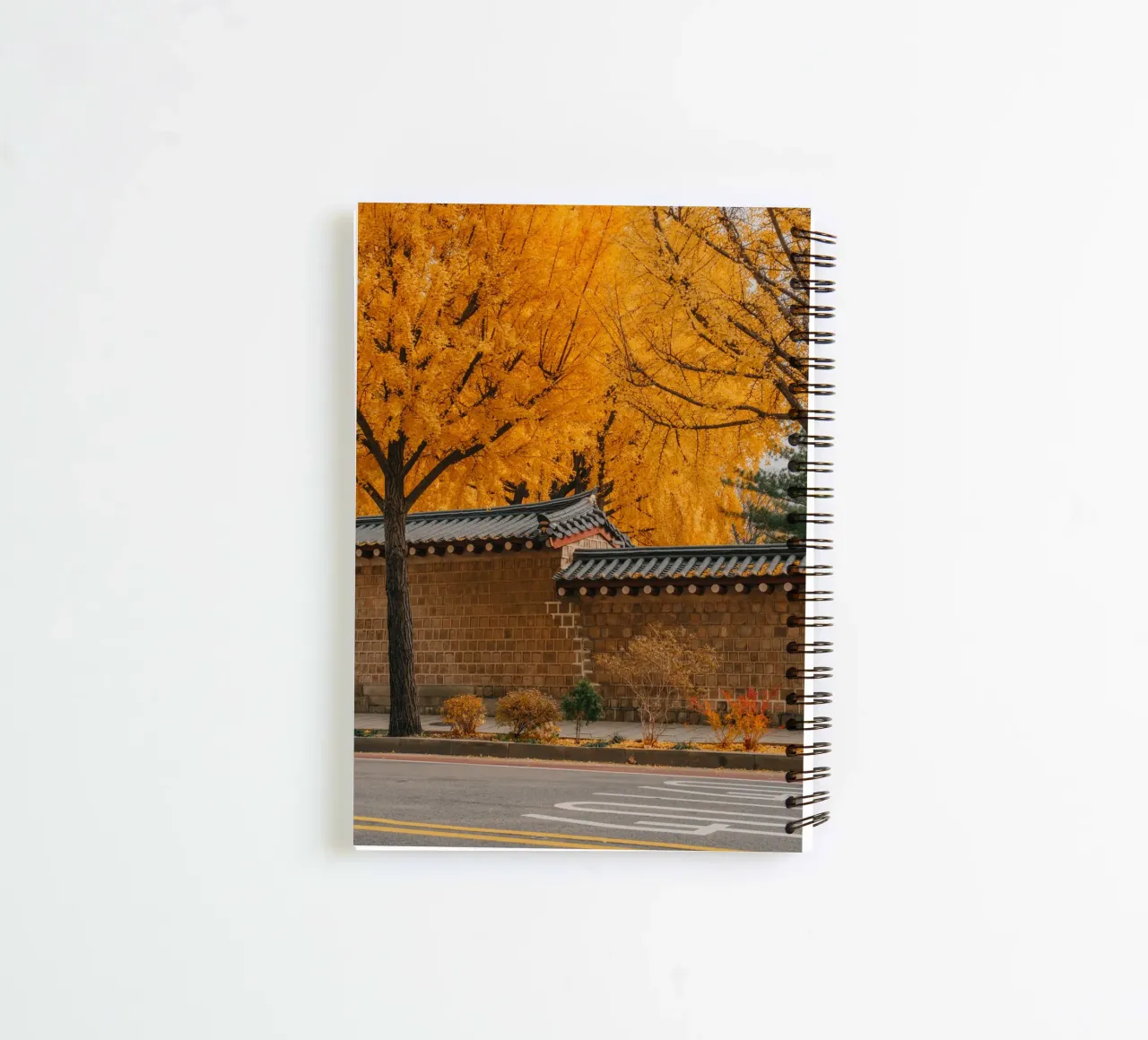 Alberi di ginkgo dorati a Seul, Corea del Sud diario ad anelli da mbgraphx2