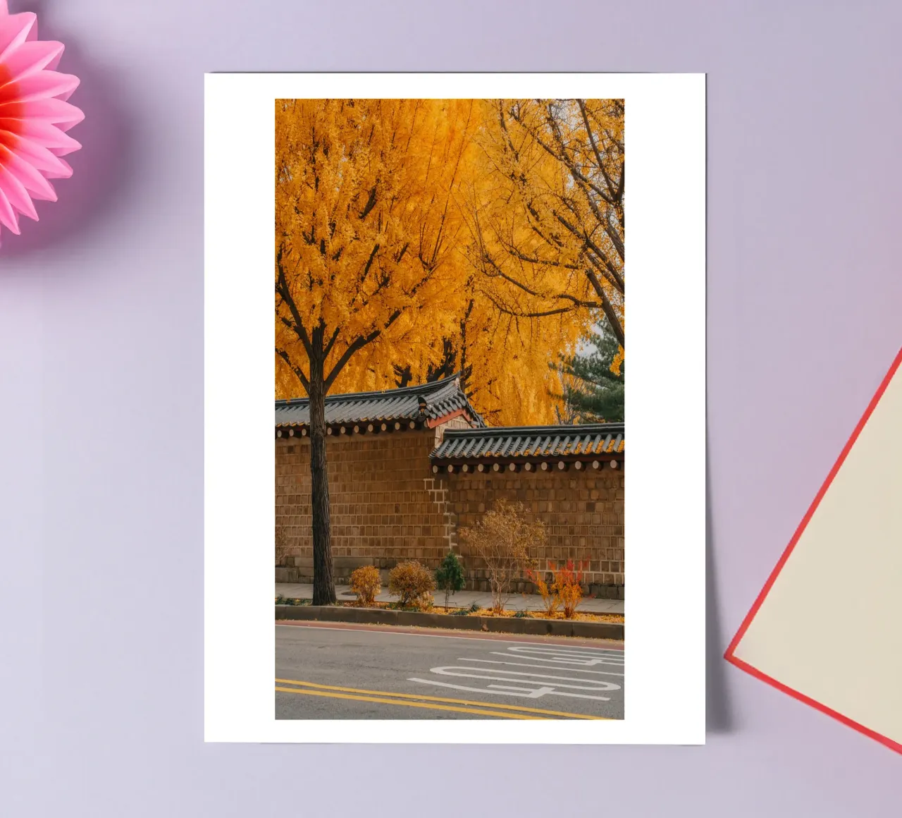 Alberi di ginkgo dorati a Seul, Corea del Sud foglio adesivo da mbgraphx2