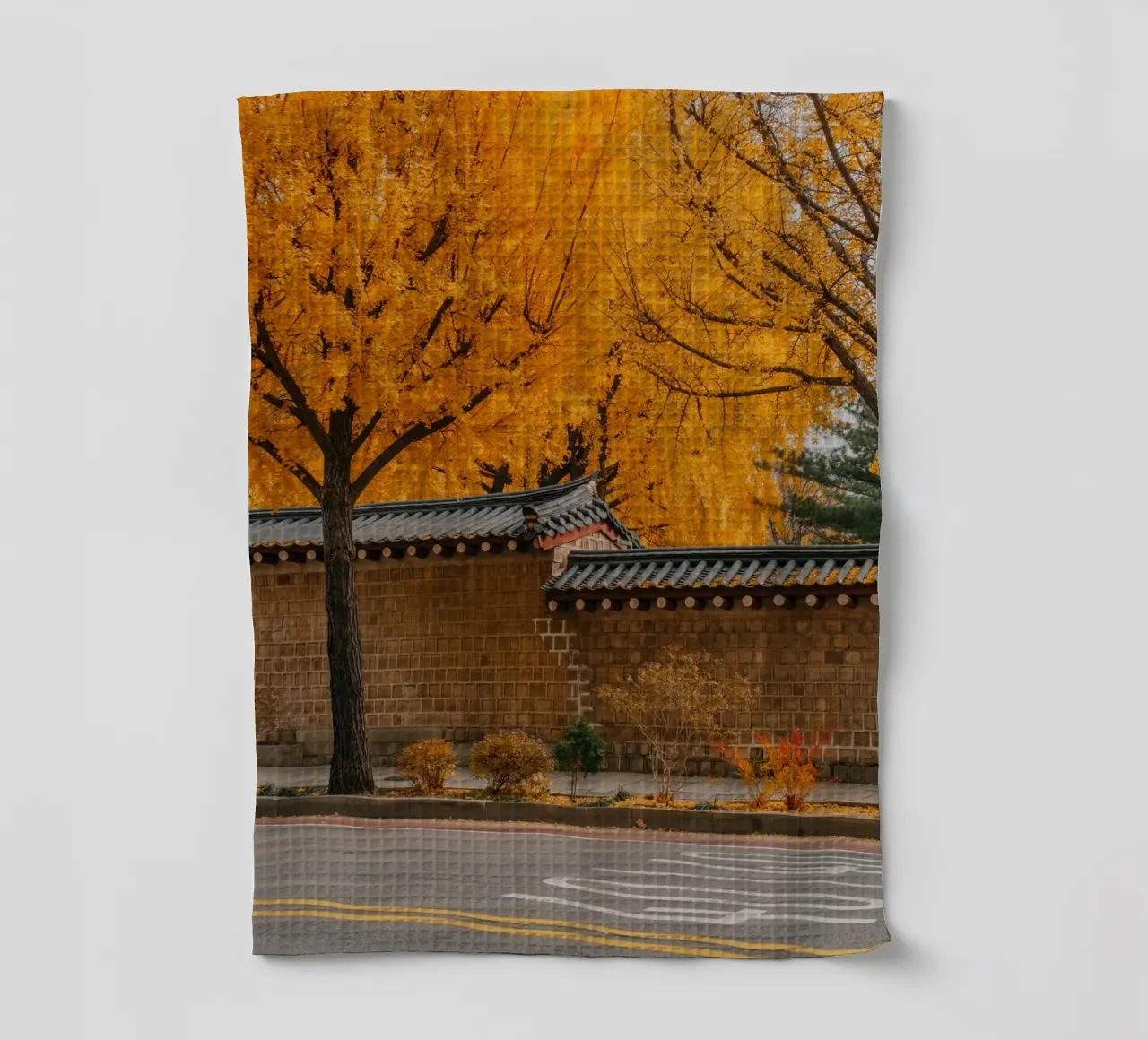 Alberi di ginkgo dorati a Seul, Corea del Sud canovaccio da cucina da mbgraphx2