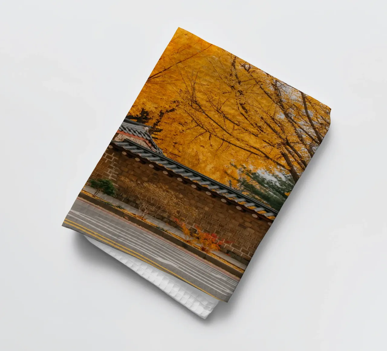 Alberi di ginkgo dorati a Seul, Corea del Sud canovaccio da cucina da mbgraphx2