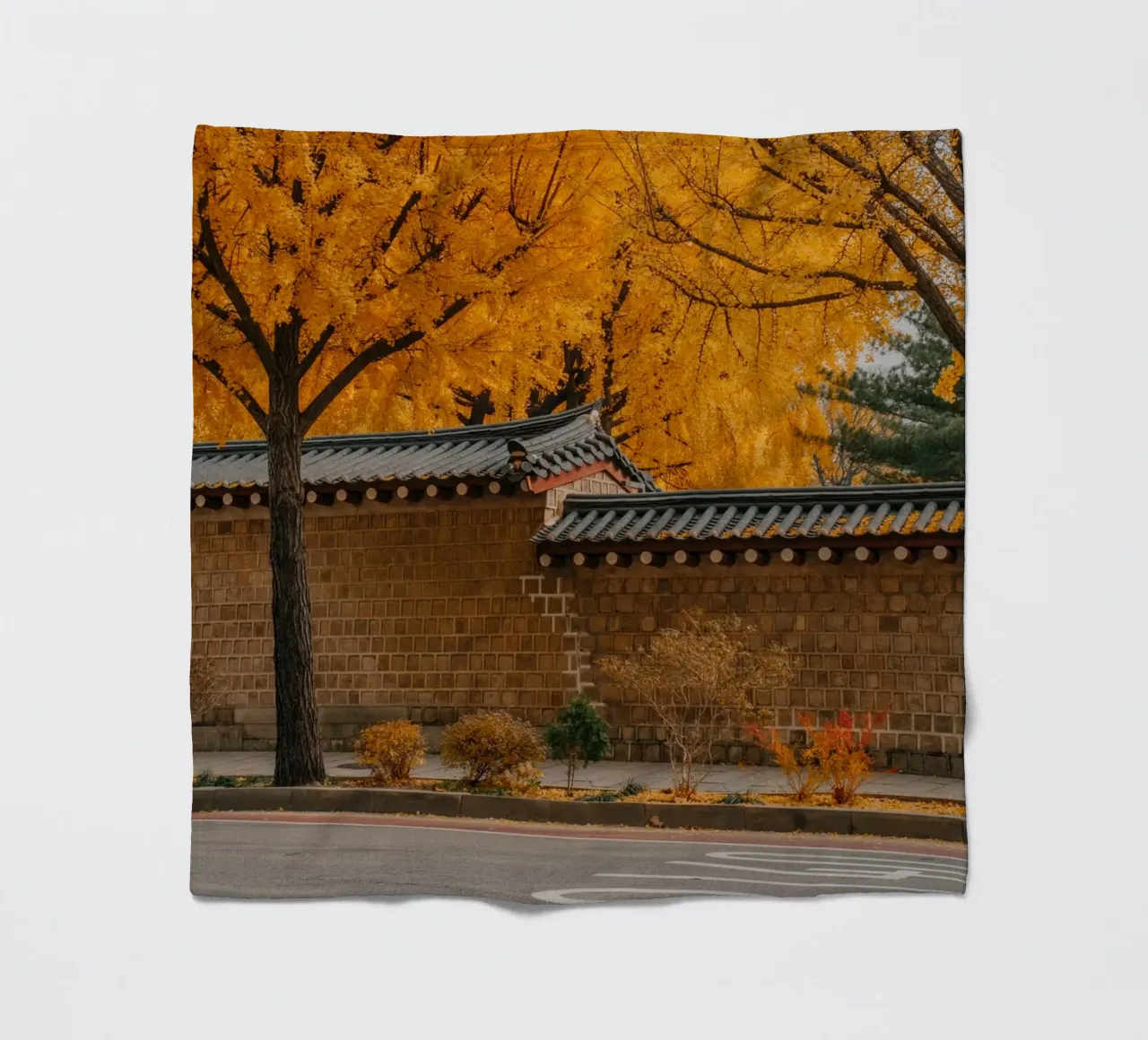 Ginkgo doré à Séoul, Corée du Sud plaid polaire de mbgraphx2