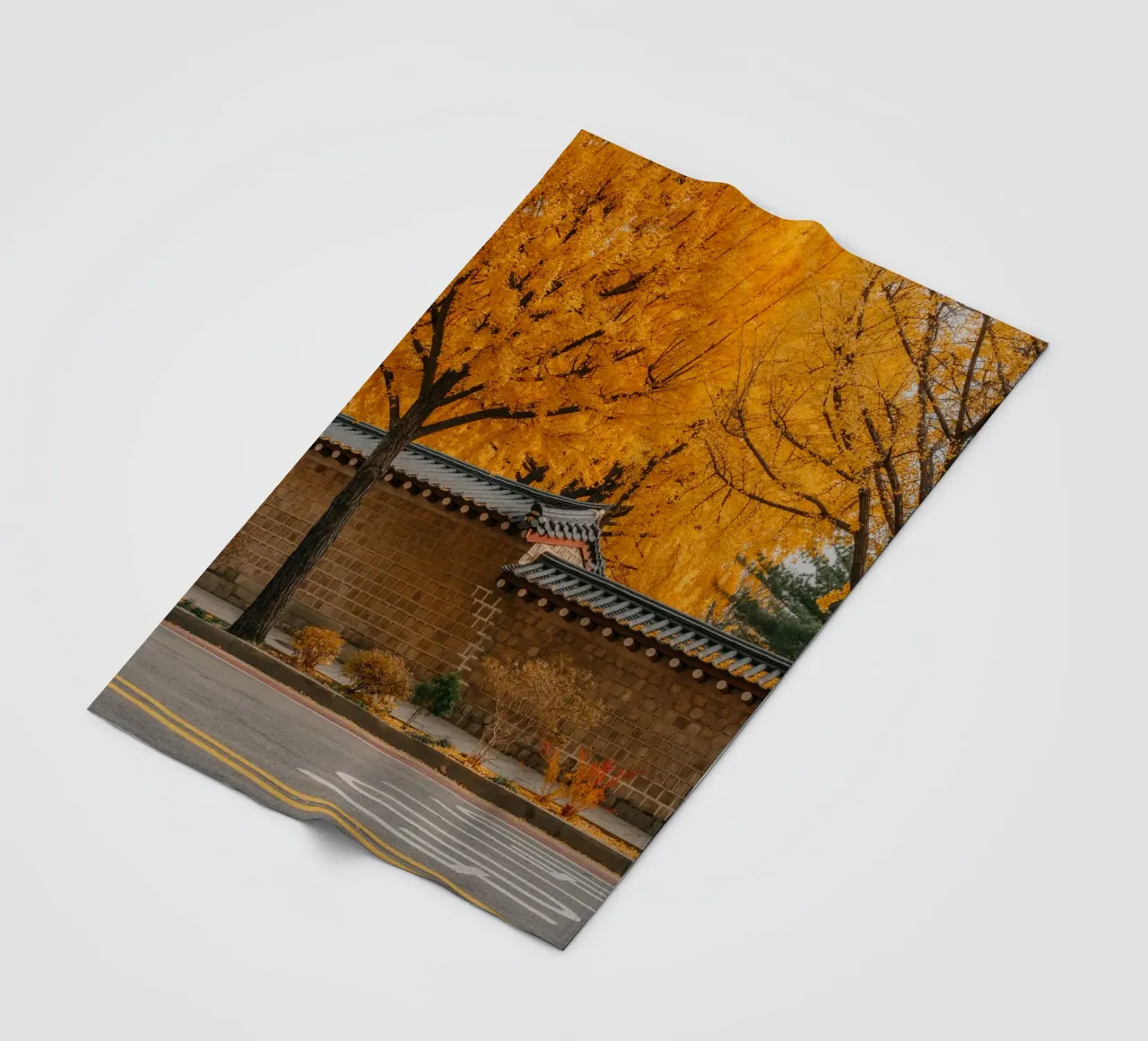 Ginkgo doré à Séoul, Corée du Sud plaid polaire de mbgraphx2