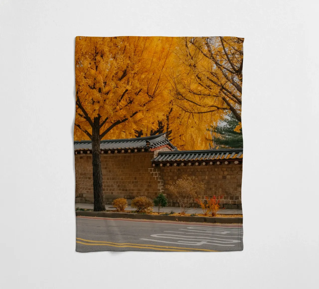 Ginkgo doré à Séoul, Corée du Sud plaid polaire de mbgraphx2