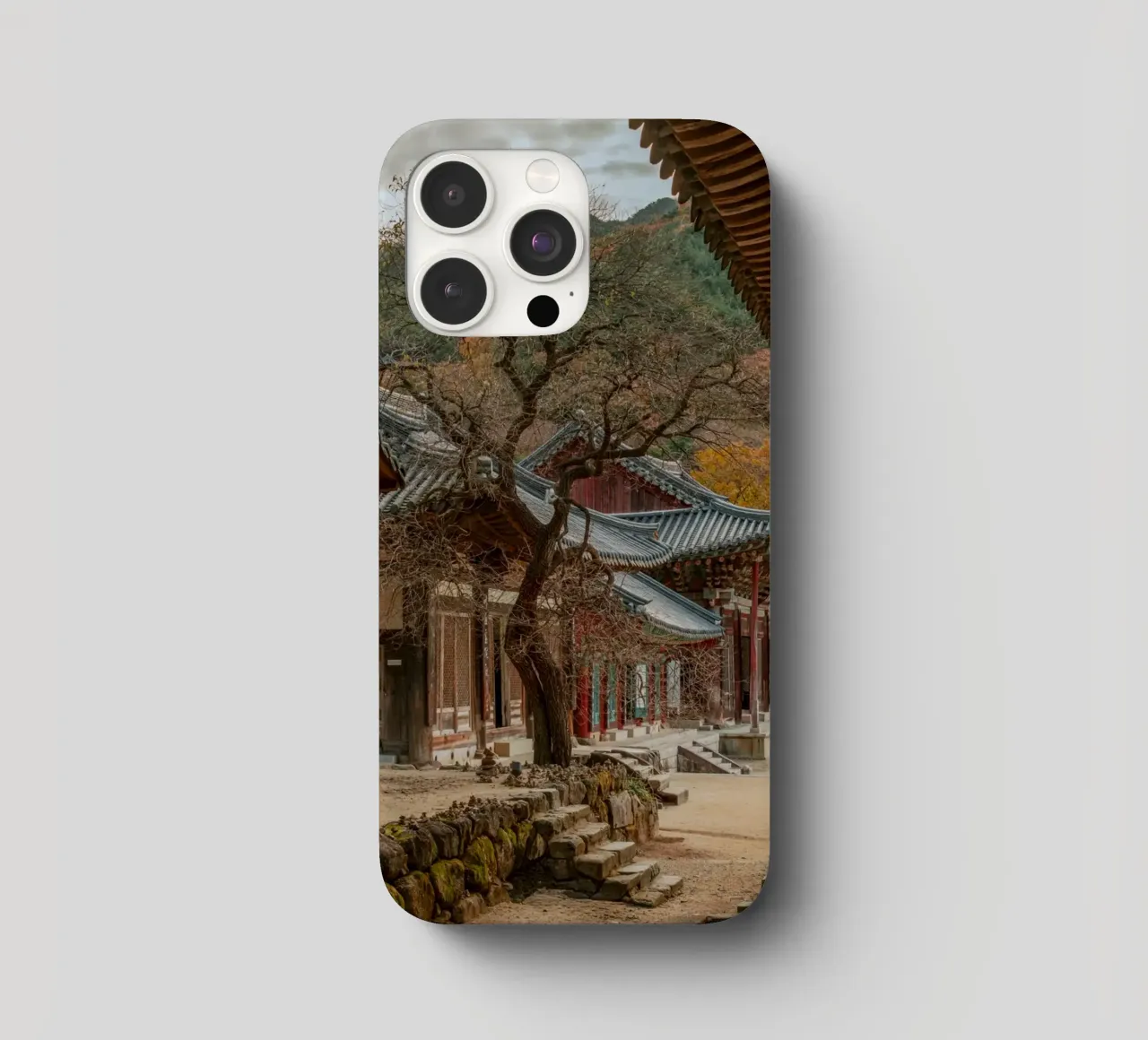 Vecchio albero del tempio di Hwaeomsa, Corea del Sud cover iphone da mbgraphx2