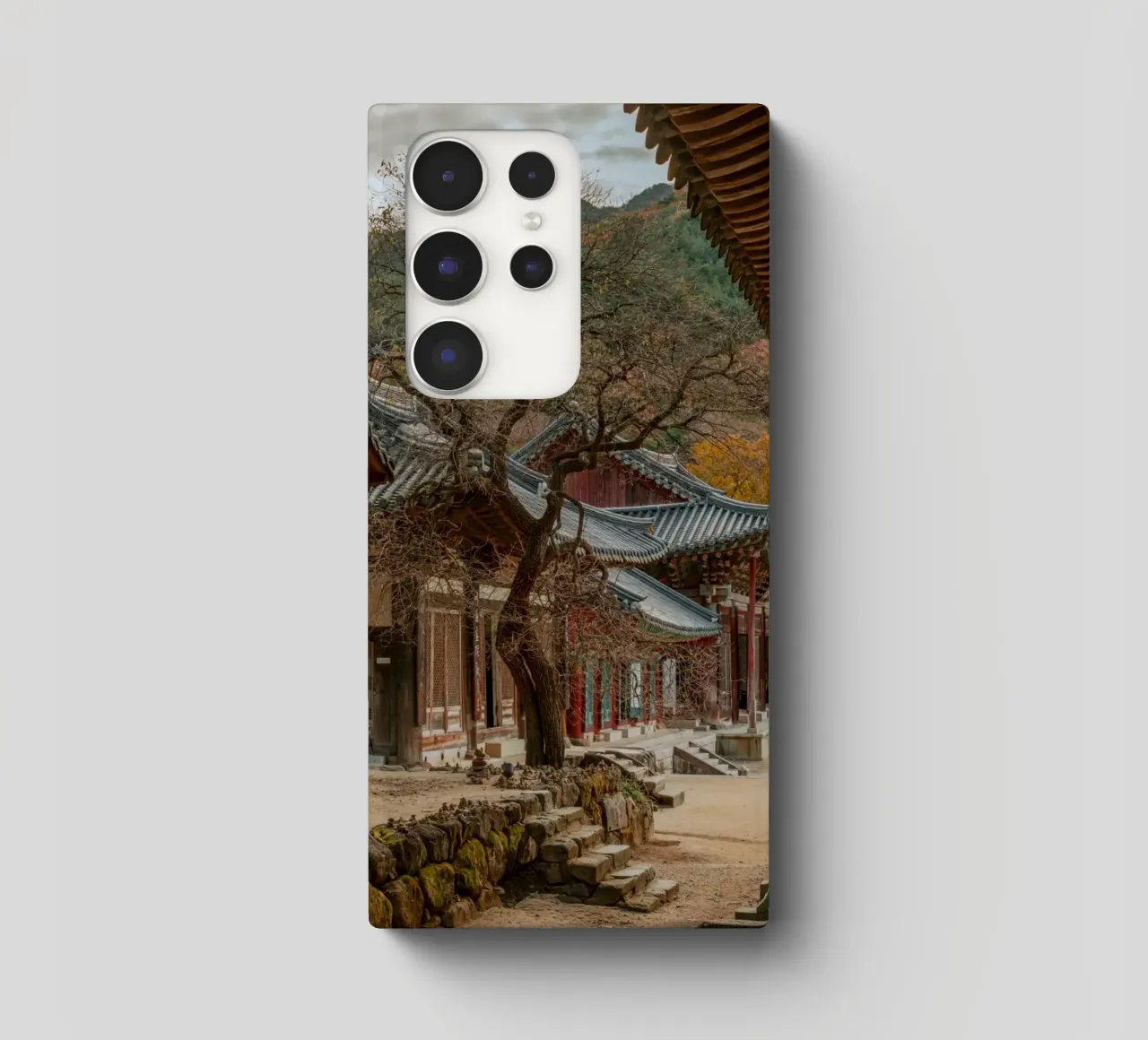 Vecchio albero del tempio di Hwaeomsa, Corea del Sud cover samsung da mbgraphx2