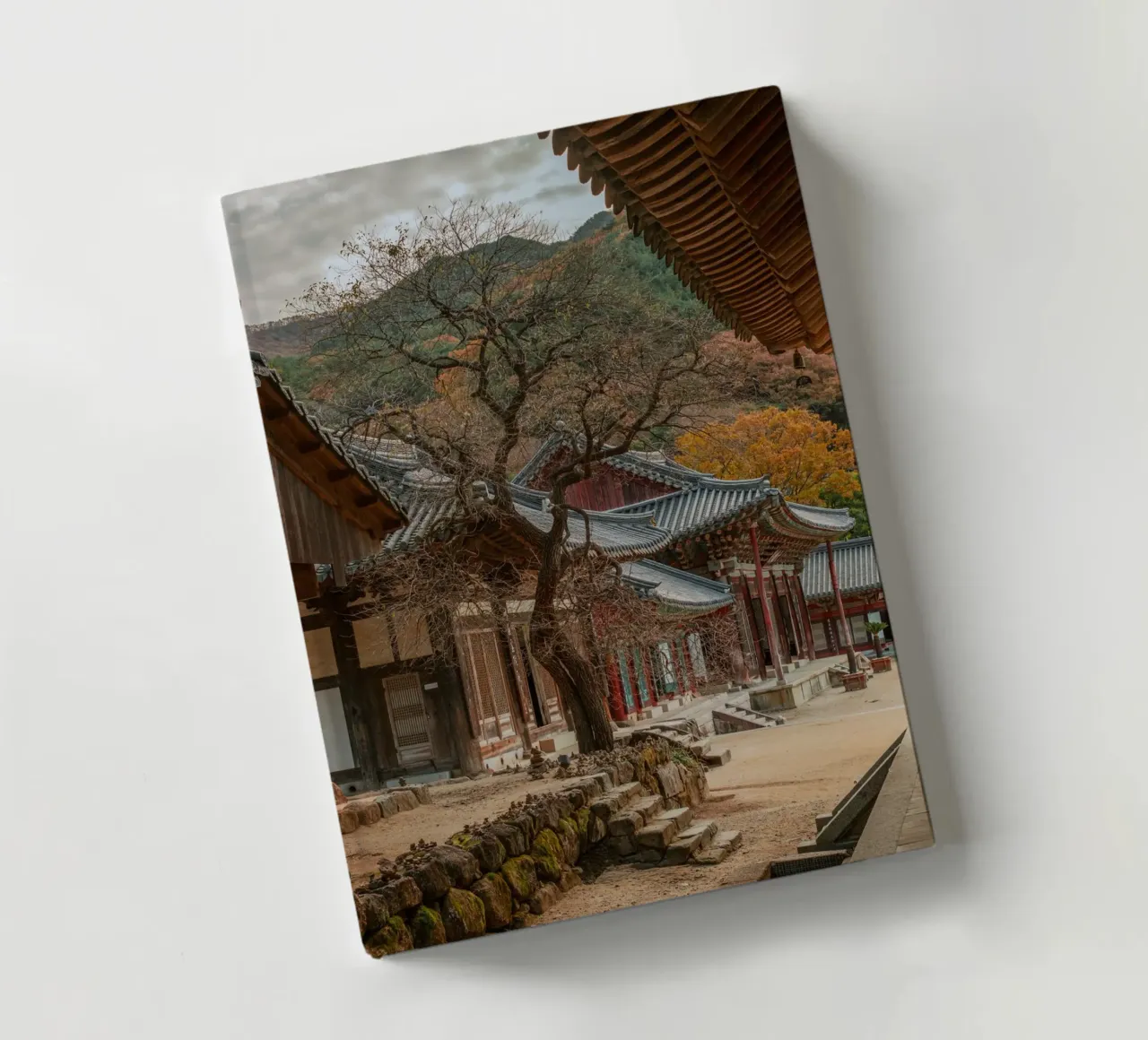 Vecchio albero del tempio di Hwaeomsa, Corea del Sud diario da mbgraphx2