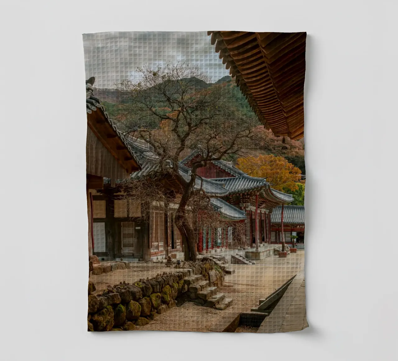 Vecchio albero del tempio di Hwaeomsa, Corea del Sud canovaccio da cucina da mbgraphx2