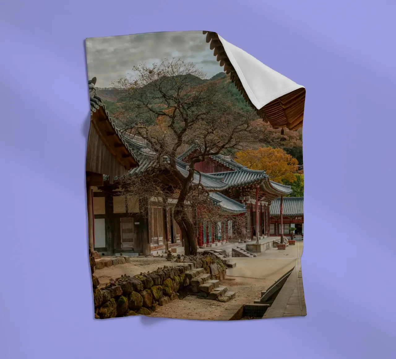 Vecchio albero del tempio di Hwaeomsa, Corea del Sud coperta in pile da mbgraphx2