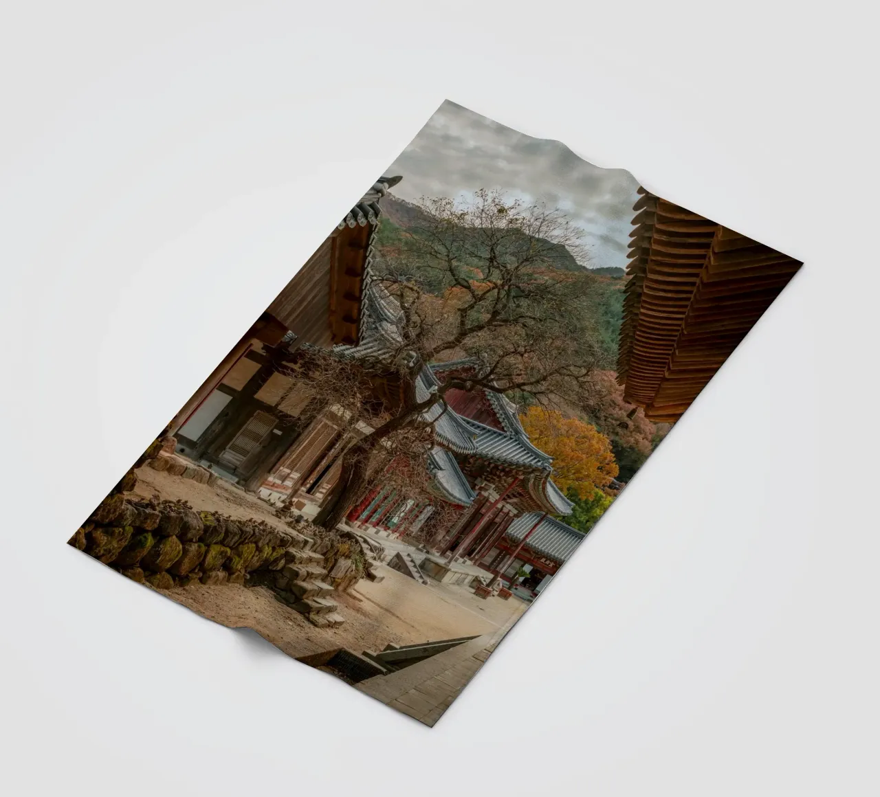 Vecchio albero del tempio di Hwaeomsa, Corea del Sud coperta in pile da mbgraphx2