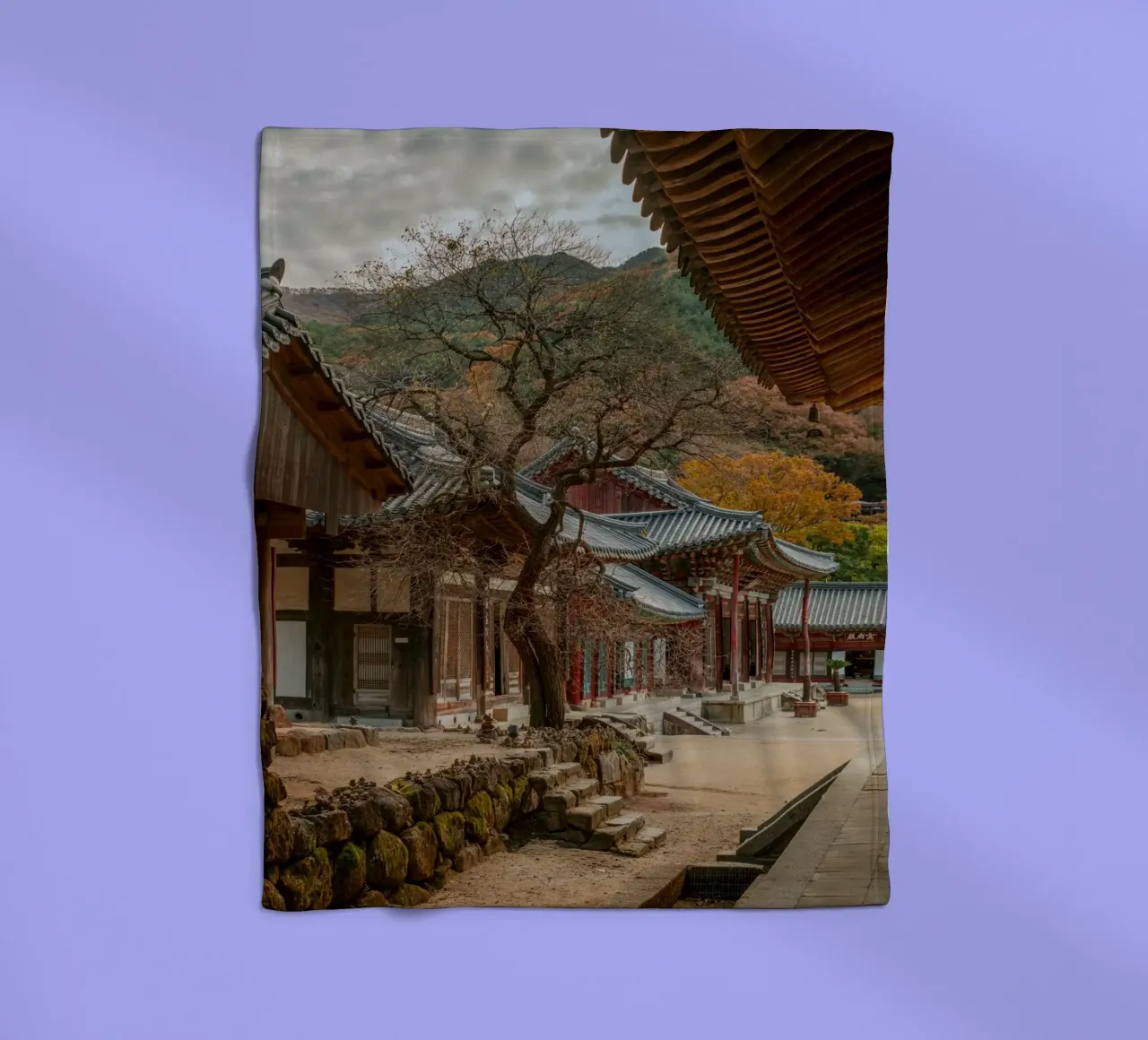 Vecchio albero del tempio di Hwaeomsa, Corea del Sud coperta in pile da mbgraphx2