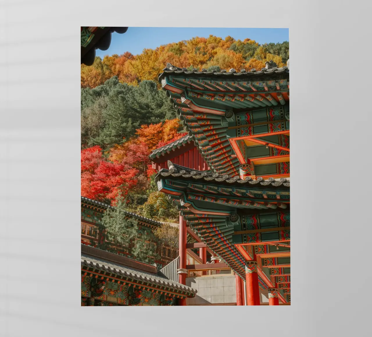 I tetti dei templi coreani in autunno pellicola backlit da mbgraphx2