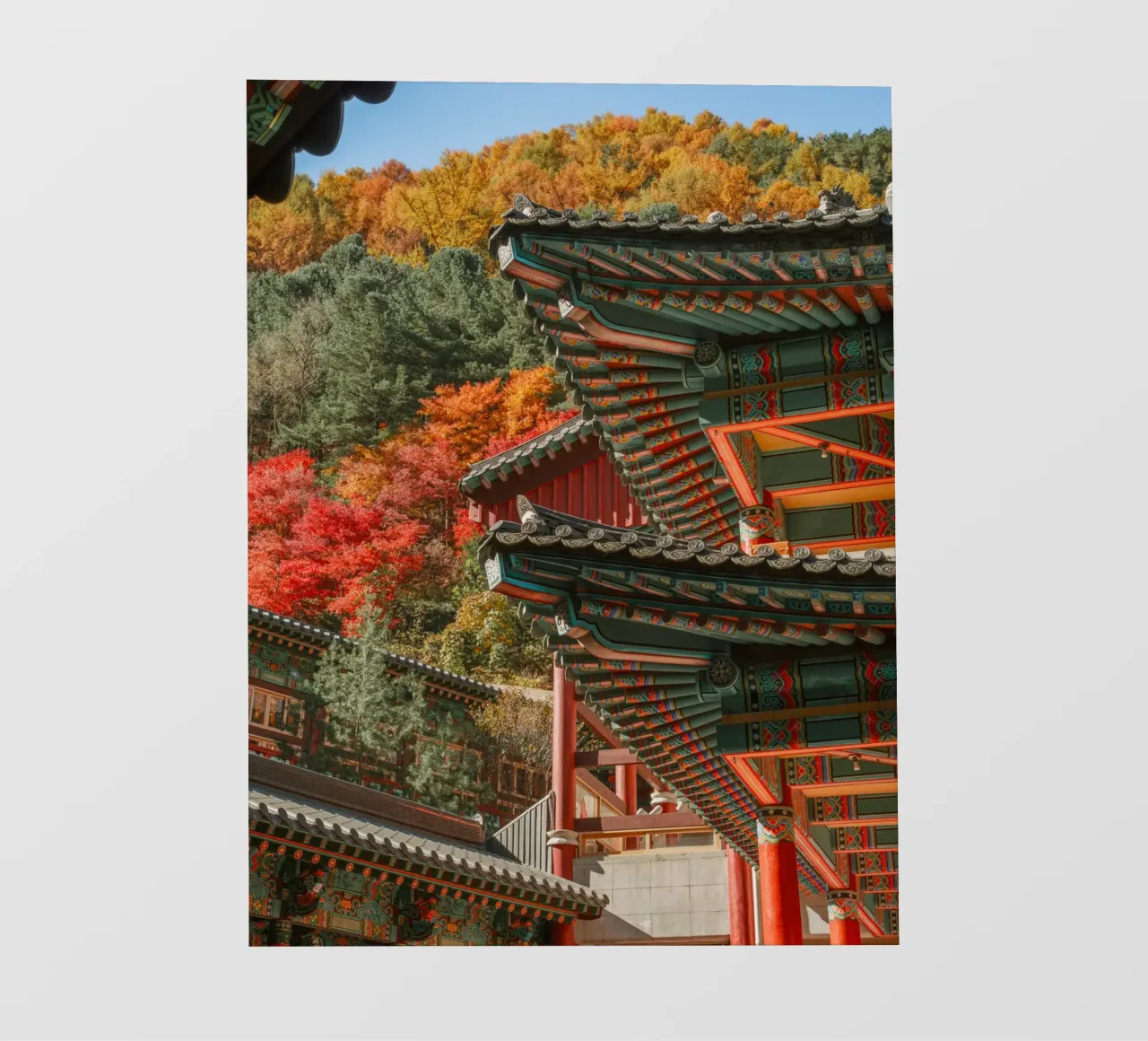 I tetti dei templi coreani in autunno telo in pvc da mbgraphx2