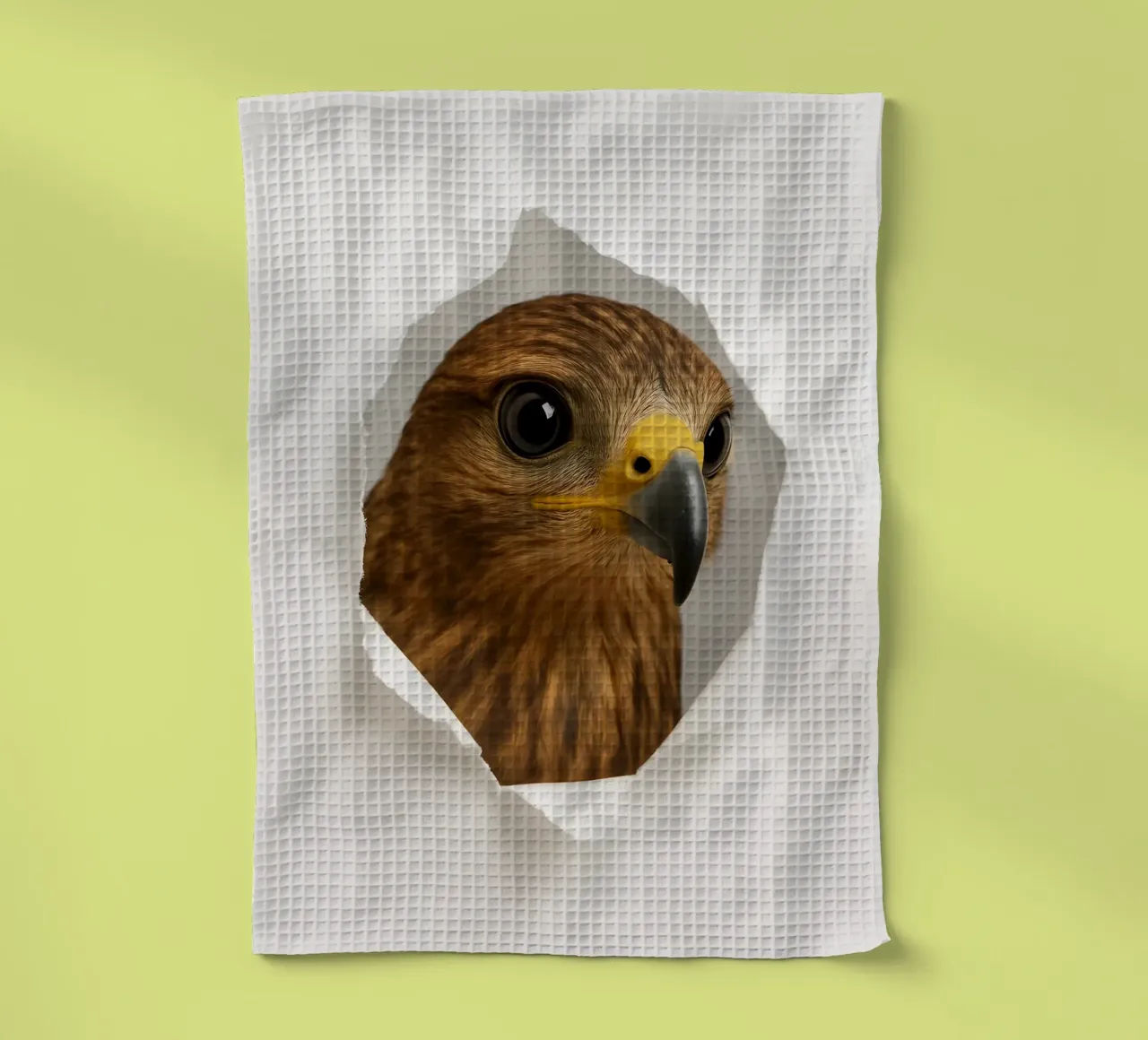 Portrait d'une buse curieuse passant au travers d'un papier d'art torchon de Cut-out Critter Gallery