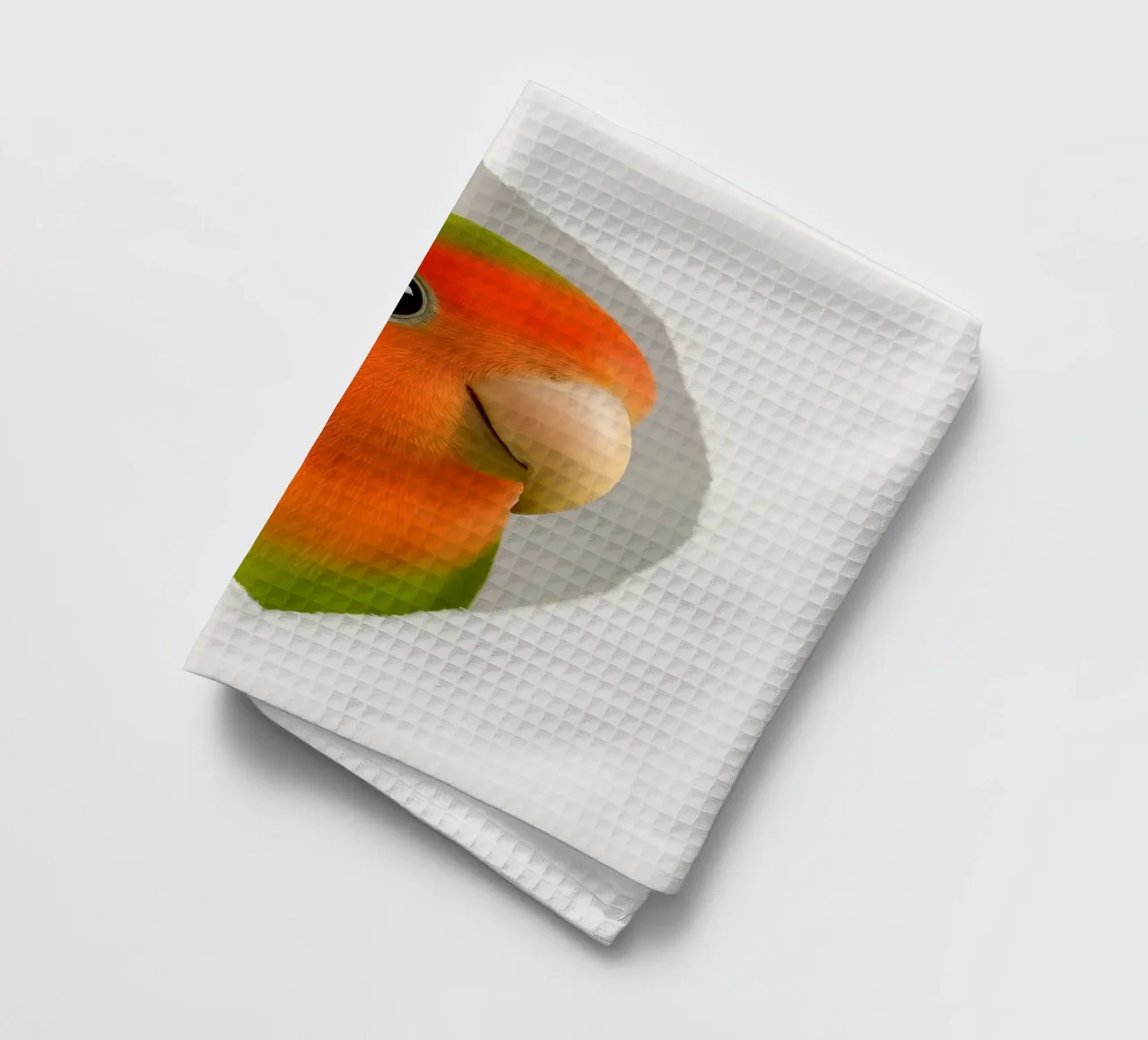 Portrait d'un inséparable coloré - Impression d'art de perroquet mignon torchon de Cut-out Critter Gallery