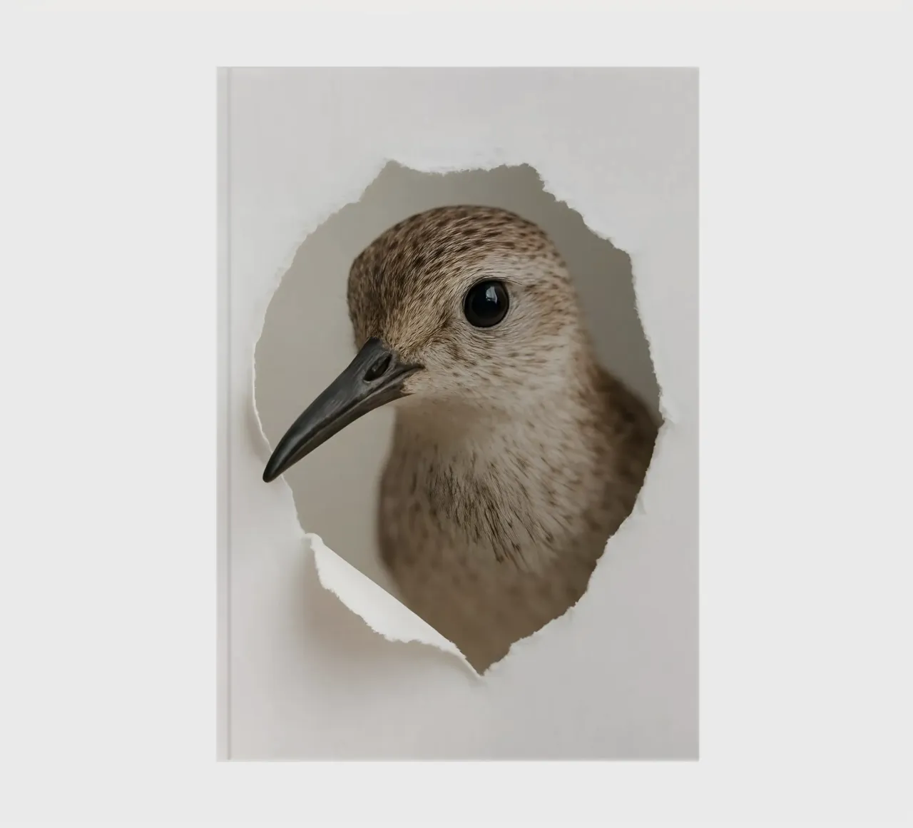 Curious Sandpiper Bird Art – Realistic Peek Through Print notebook by Cut-out Critter Gallery