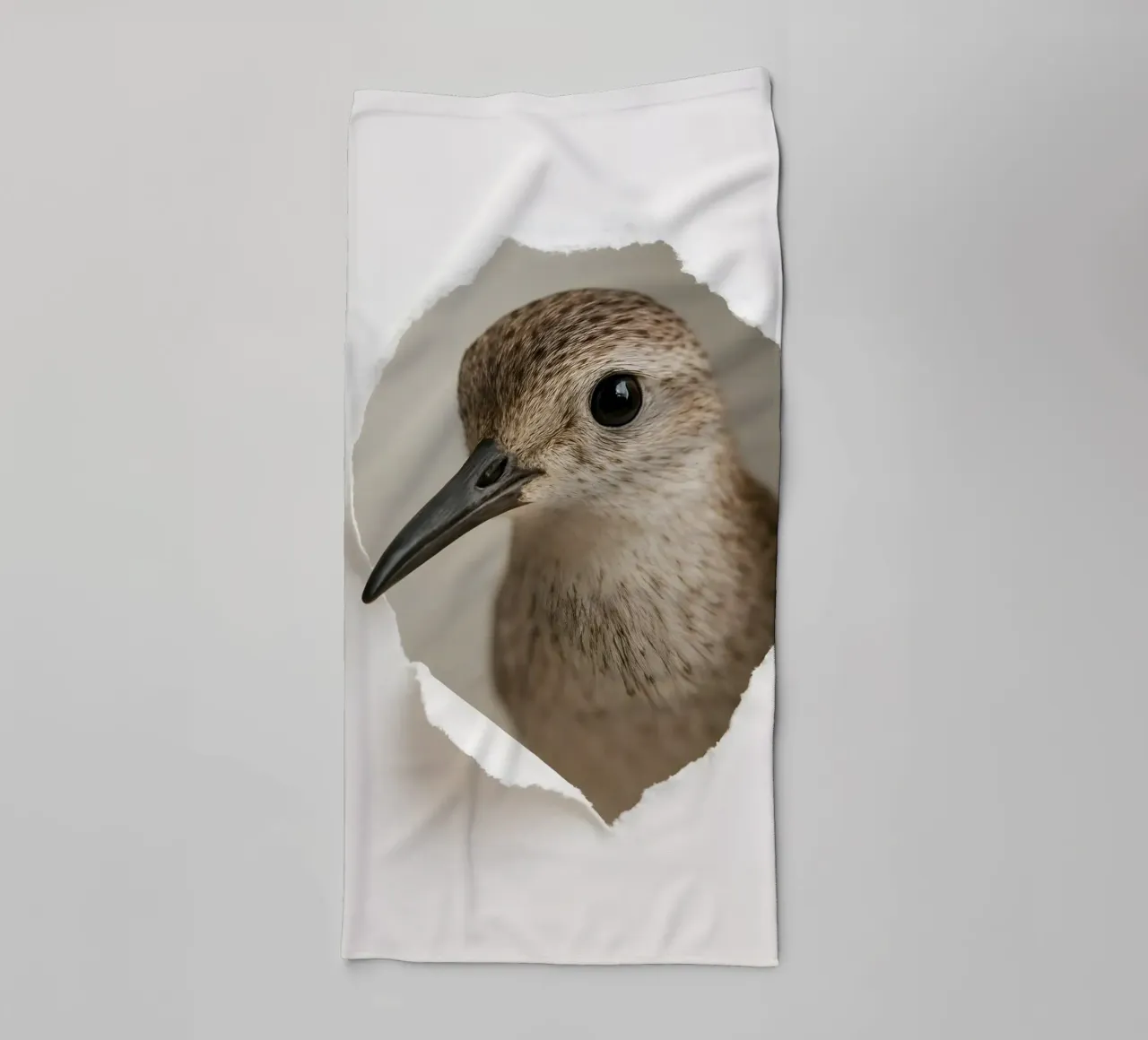 Curious Sandpiper Bird Art – Realistic Peek Through Print towel by Cut-out Critter Gallery