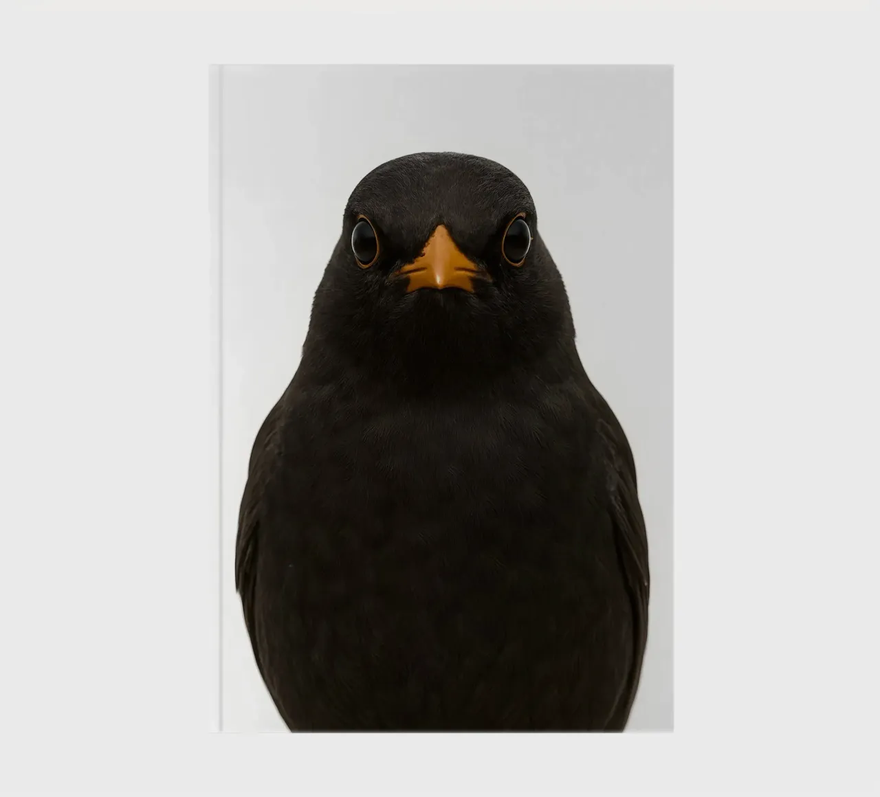 Minimalist Blackbird Portrait – Modern Nature Art Print notebook by Happy Wild Prints