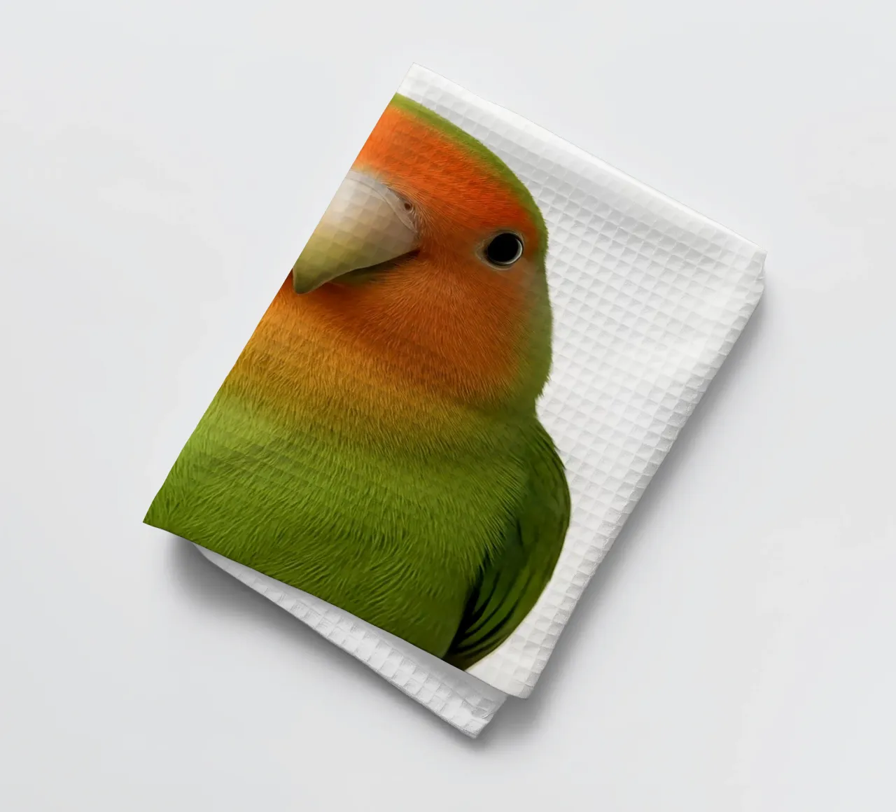 Portrait d'un inséparable coloré - Impression d'art tropical mignon torchon de Happy Wild Prints