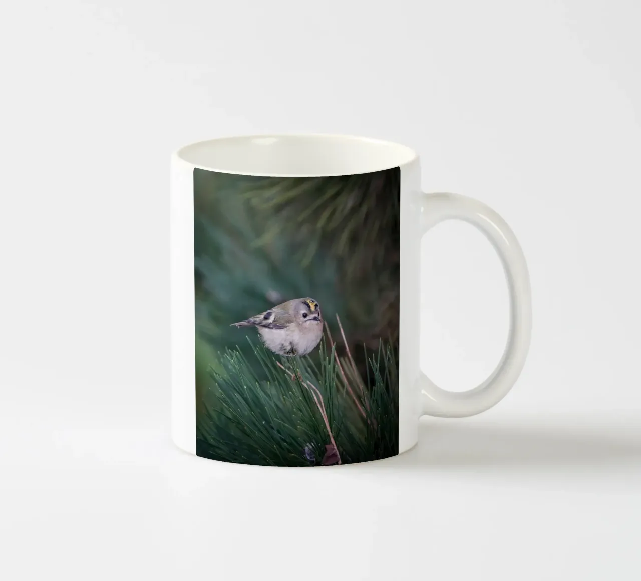 Goldcrest tazza in ceramica da Tom's Wildlife