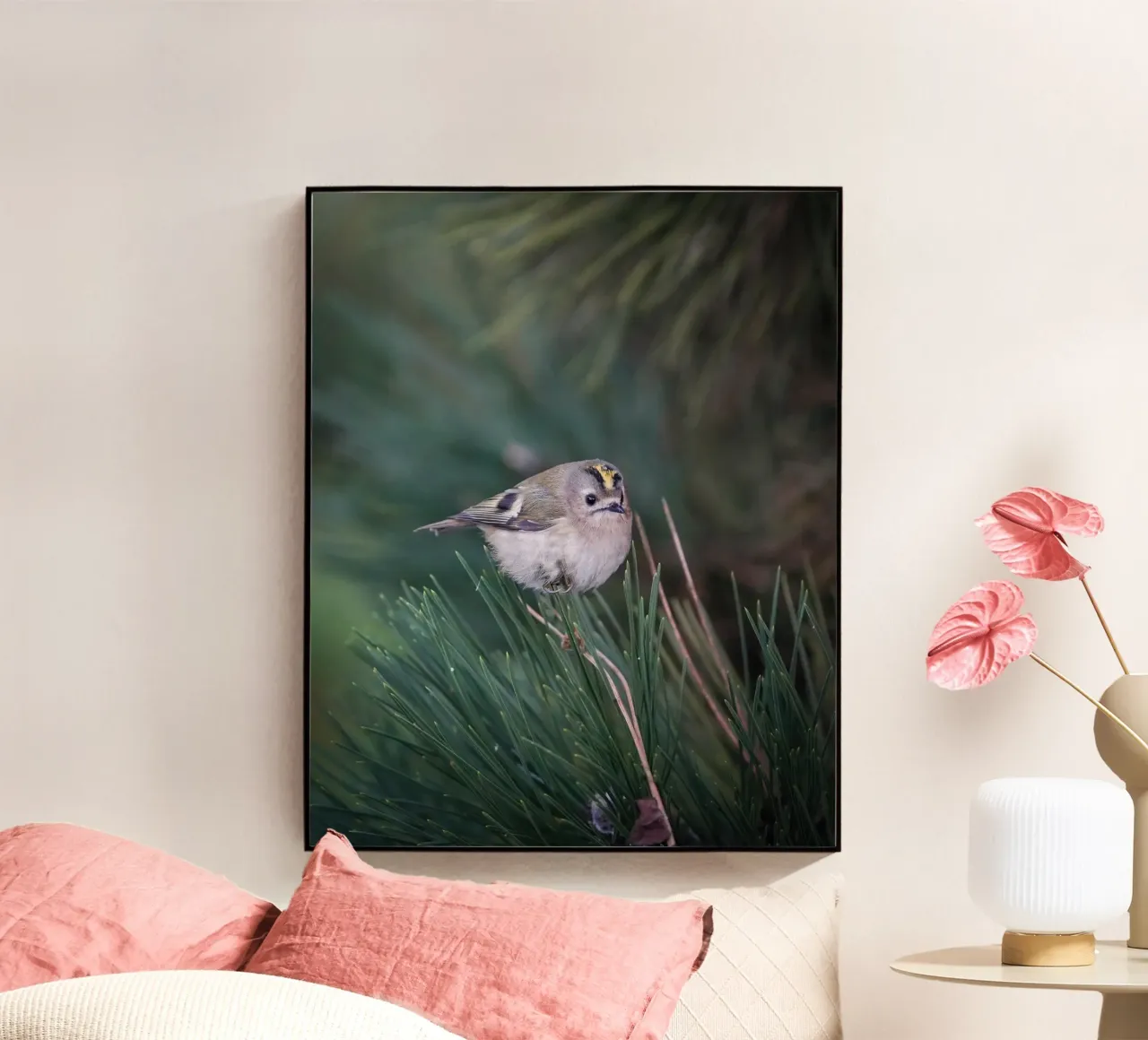 Goldcrest plexiglass da Tom's Wildlife