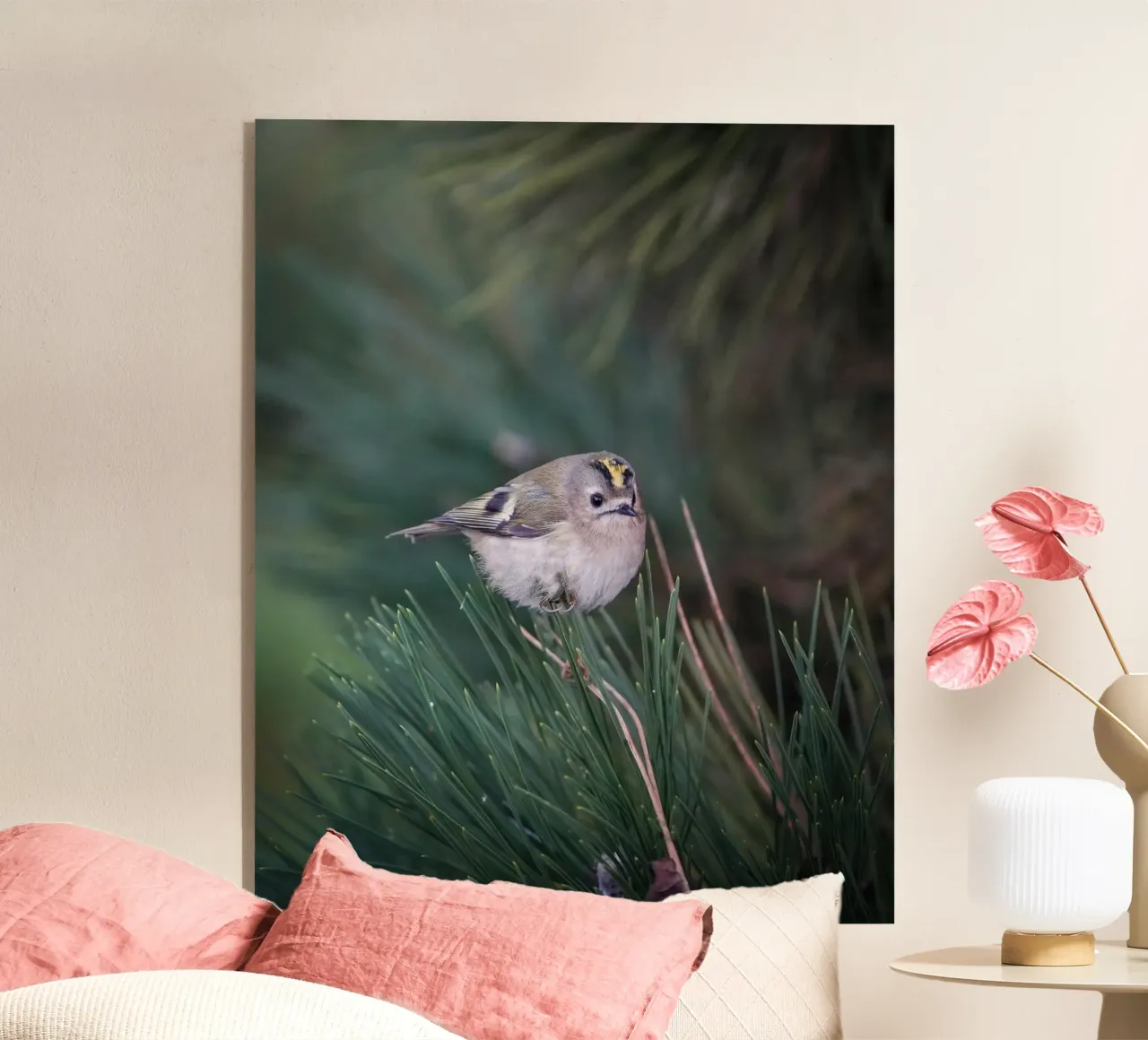 Goldcrest plexiglass da Tom's Wildlife