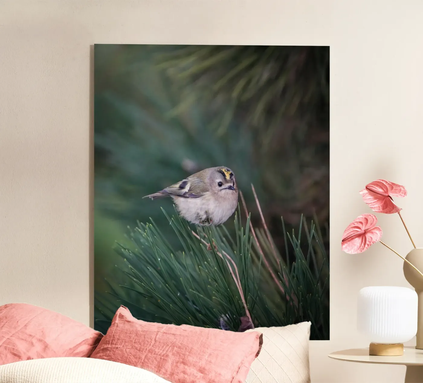 Goldhähnchen Acryl-Glas von Tom's Wildlife