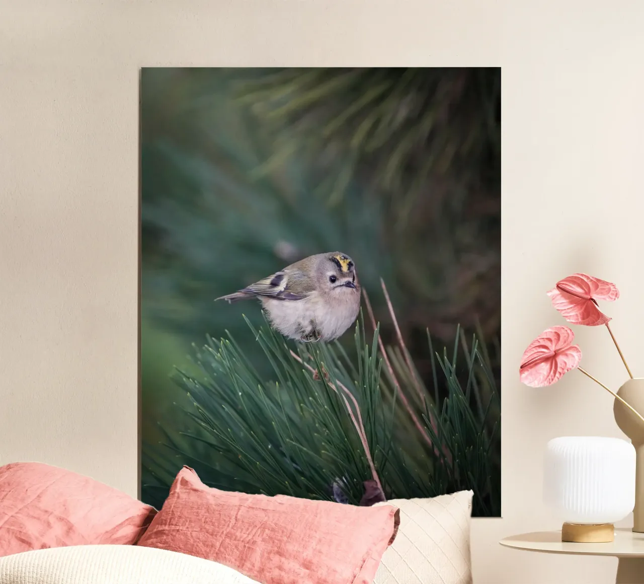 Goldcrest poster da Tom's Wildlife
