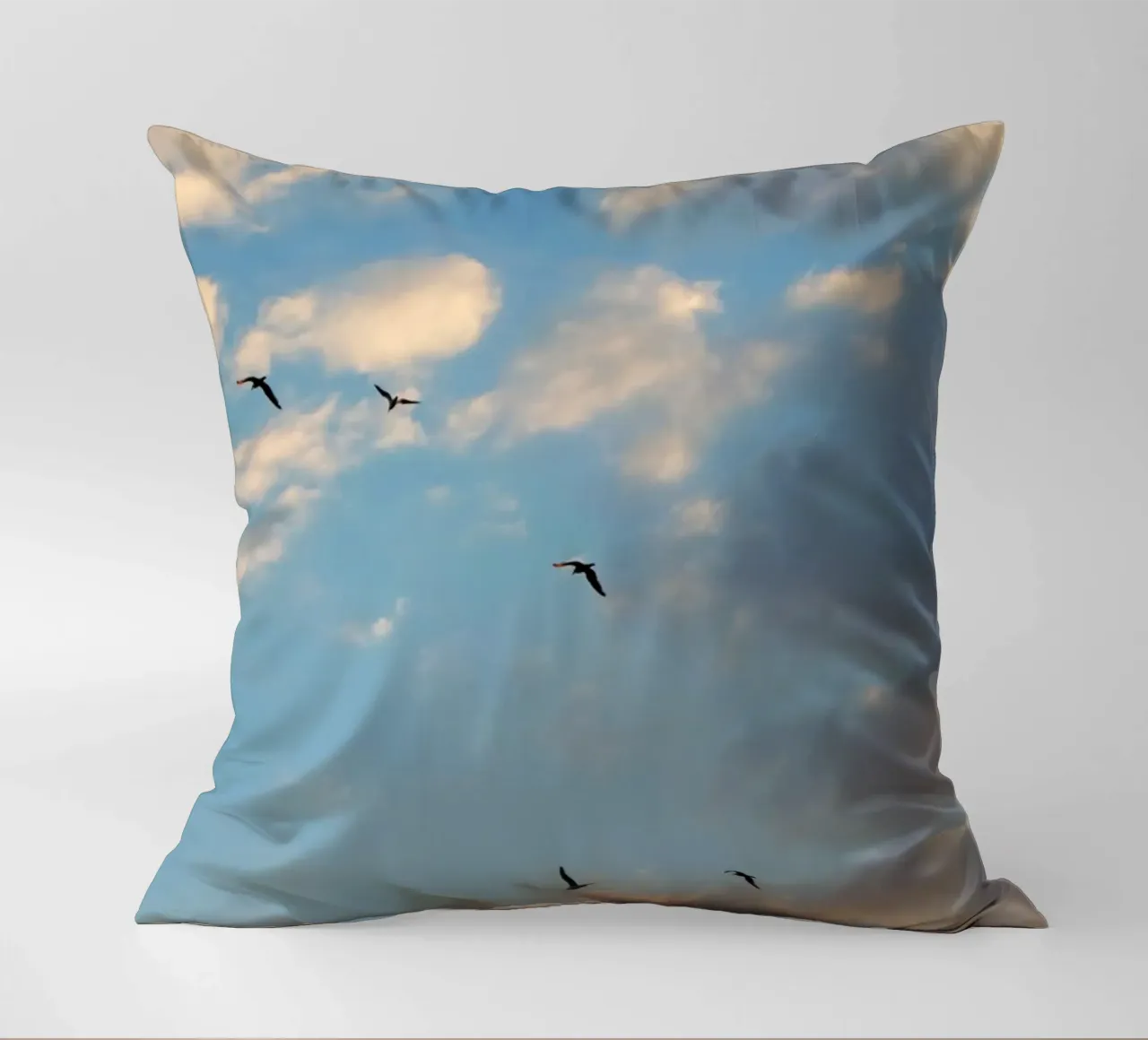 Birds in the Clouds cuscino da Studio Esther Zobel