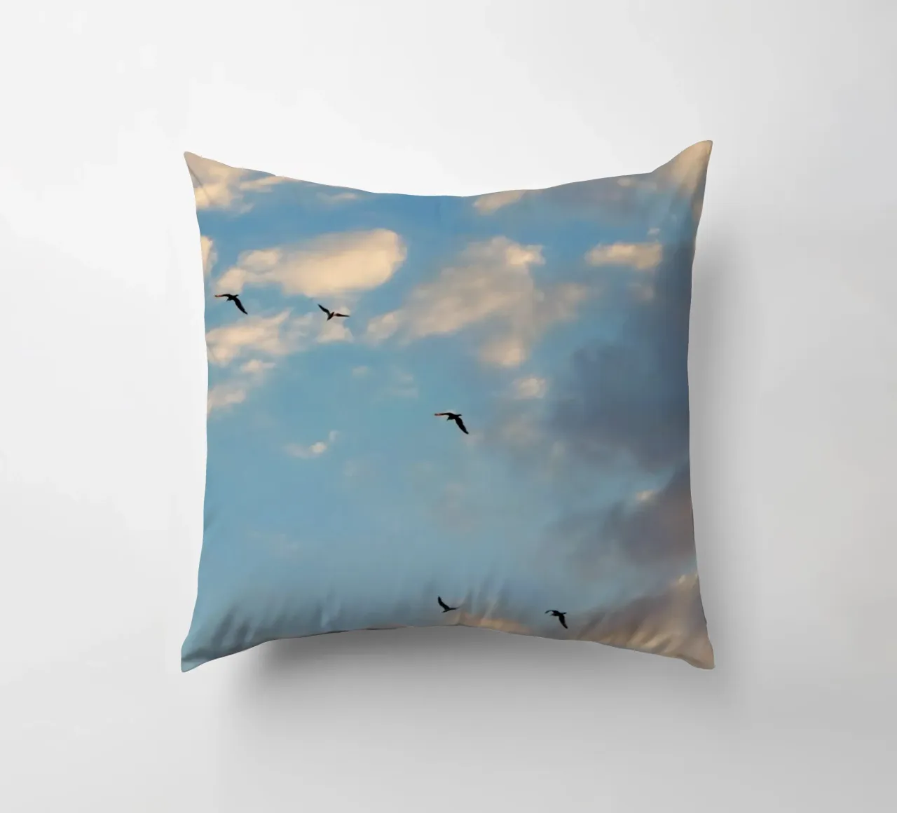 Birds in the Clouds cuscino da Studio Esther Zobel