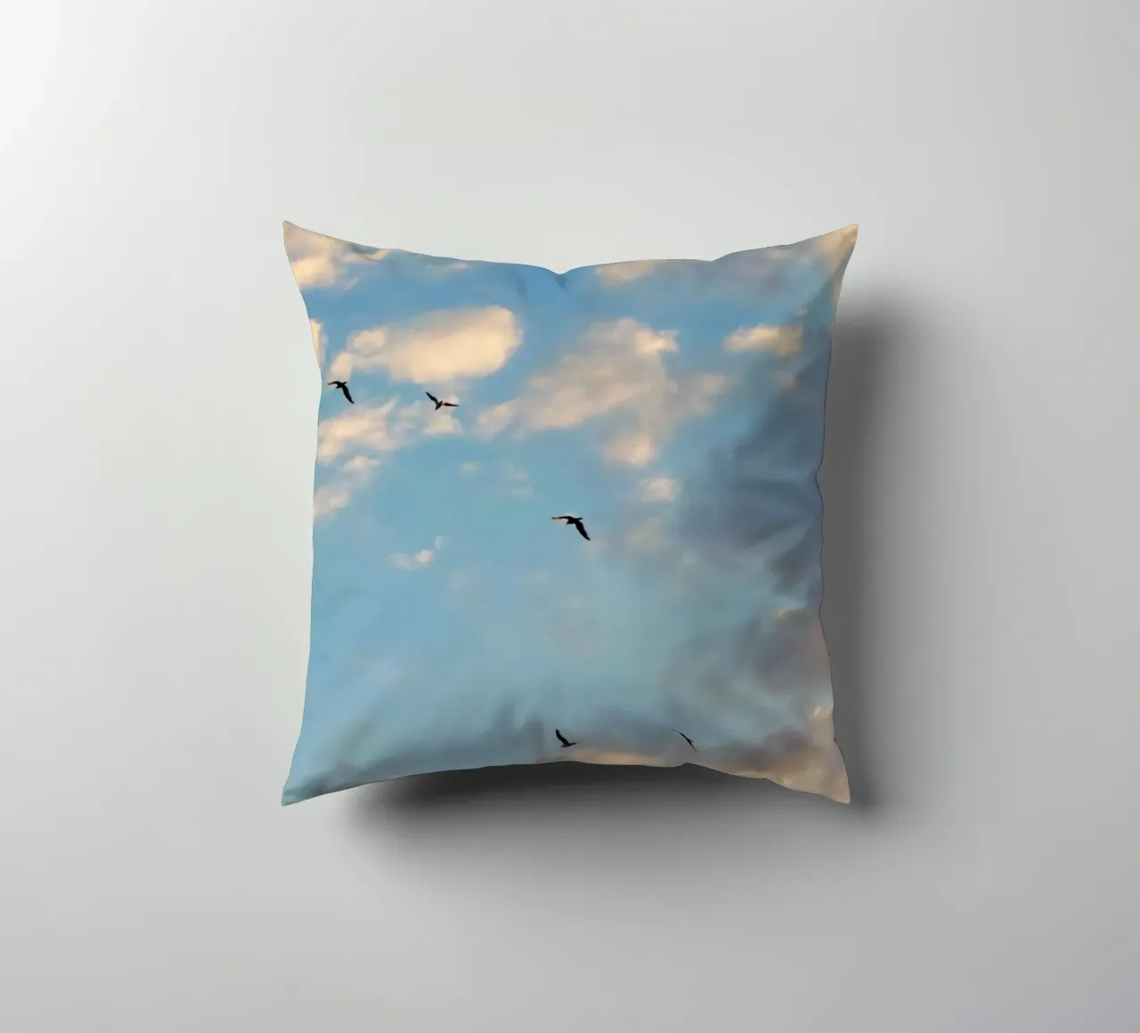 Birds in the Clouds cuscino da Studio Esther Zobel