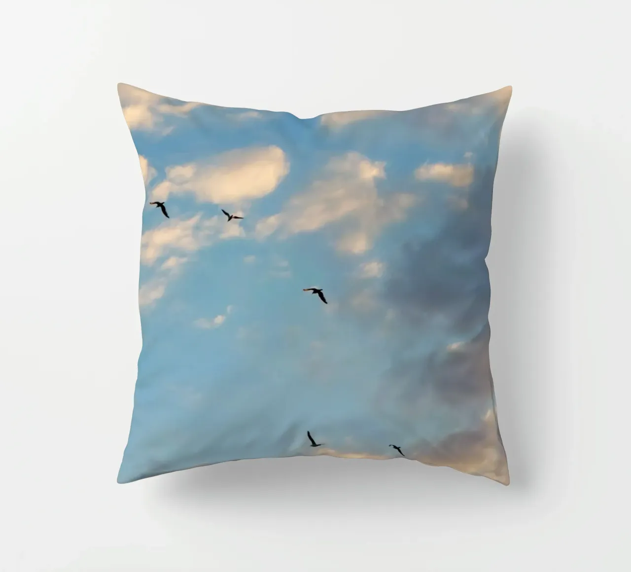 Birds in the Clouds cuscino da Studio Esther Zobel
