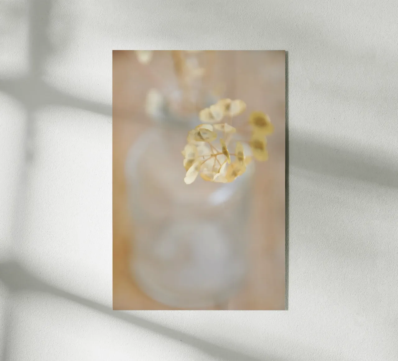 barely there plexiglass da Visuelle Poesie am Wegesrand