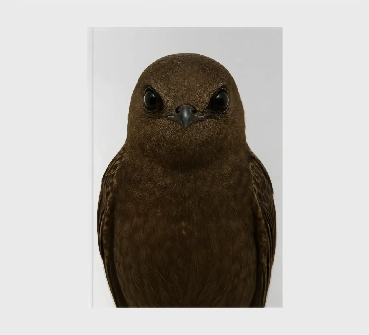 Swift Bird Portrait – Minimalist Nature Art Print notebook by Happy Wild Prints