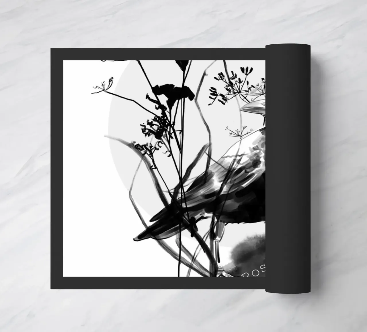 Raven zerbino da SaraRosenbaum