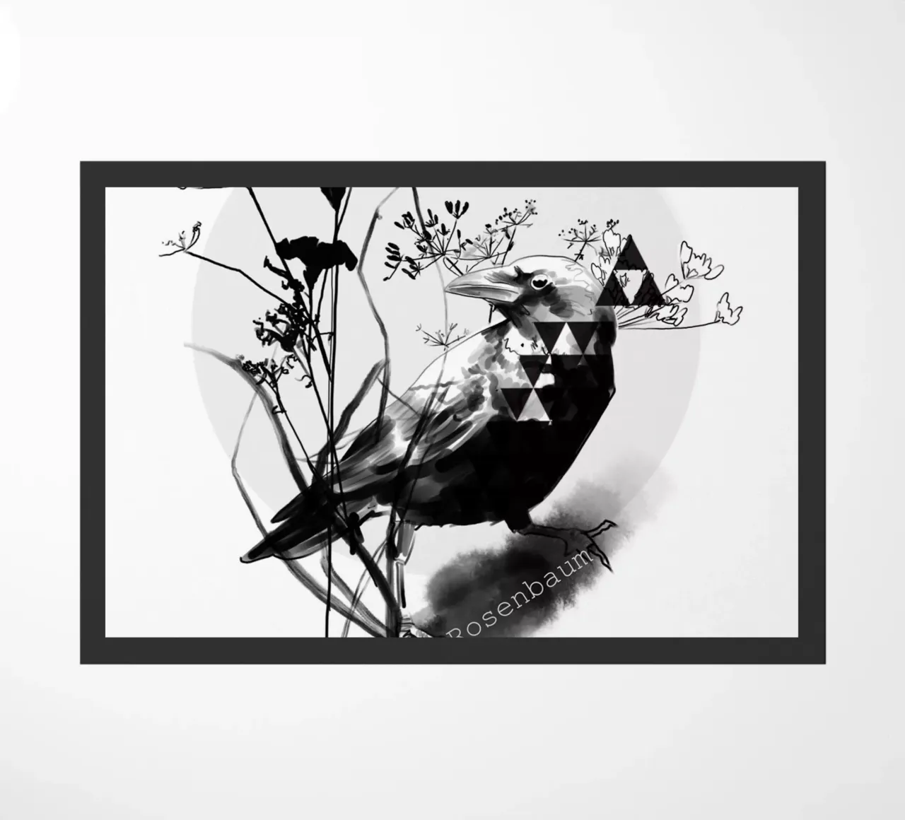 Raven zerbino da SaraRosenbaum