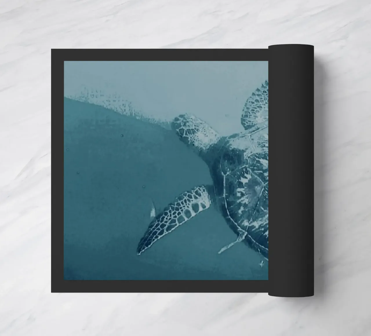Turtle Swimming zerbino da Tabea Jule Photography