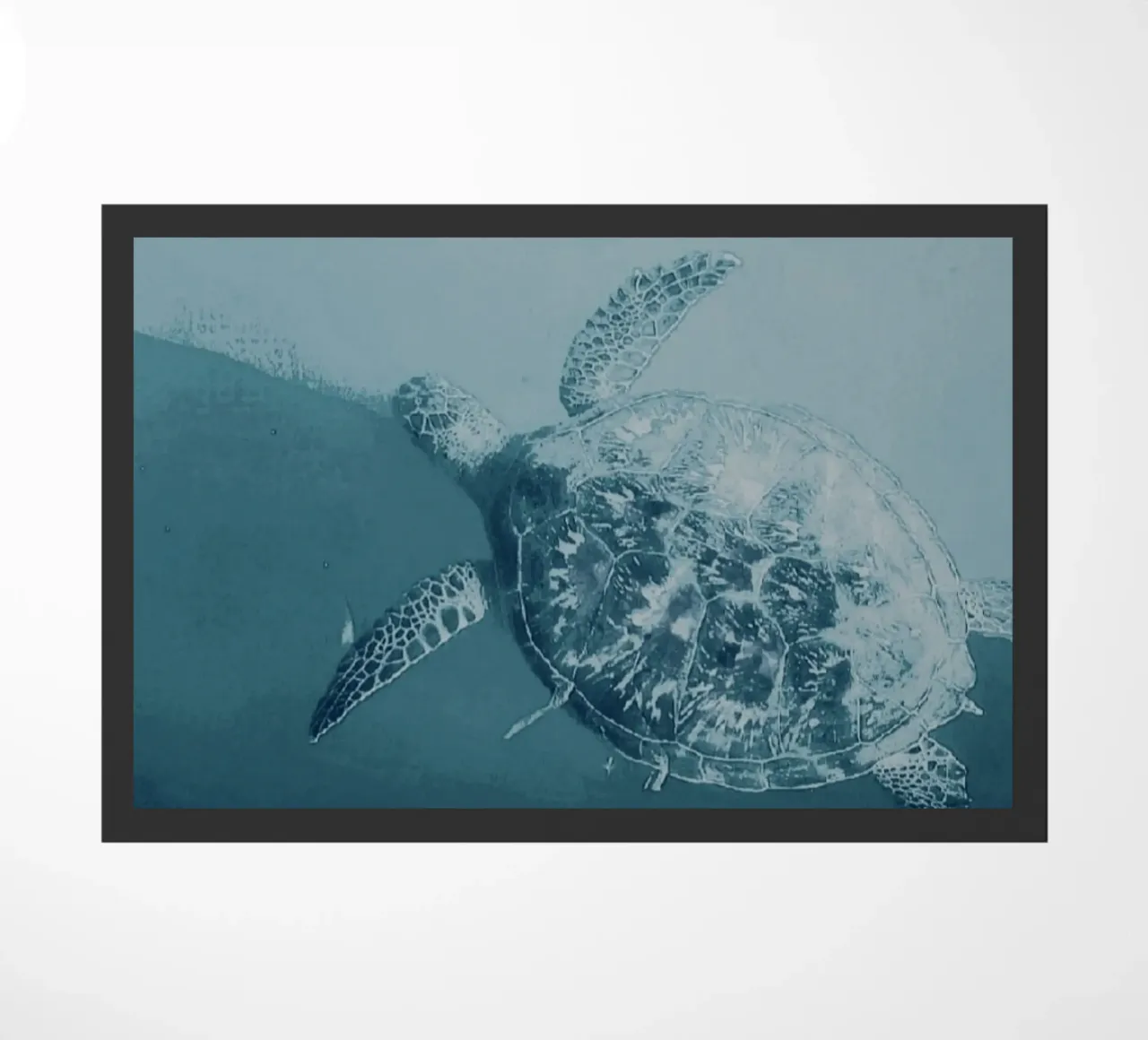 Turtle Swimming zerbino da Tabea Jule Photography