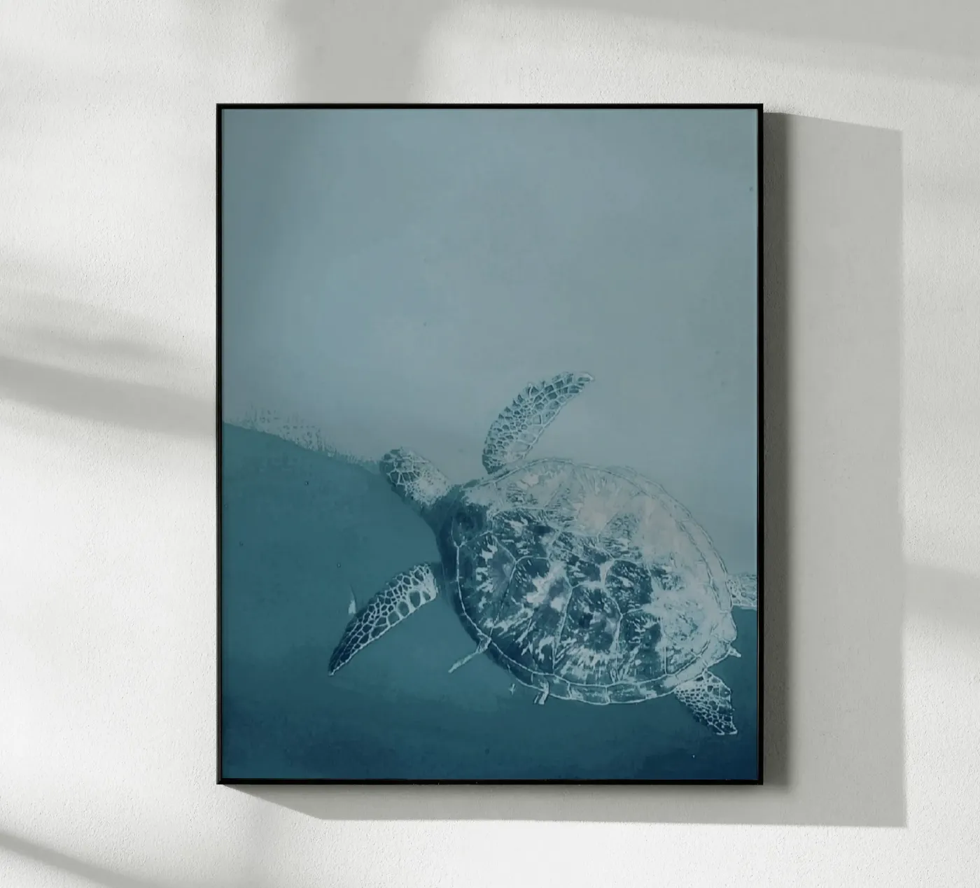 Turtle Swimming plexiglass da Tabea Jule Photography