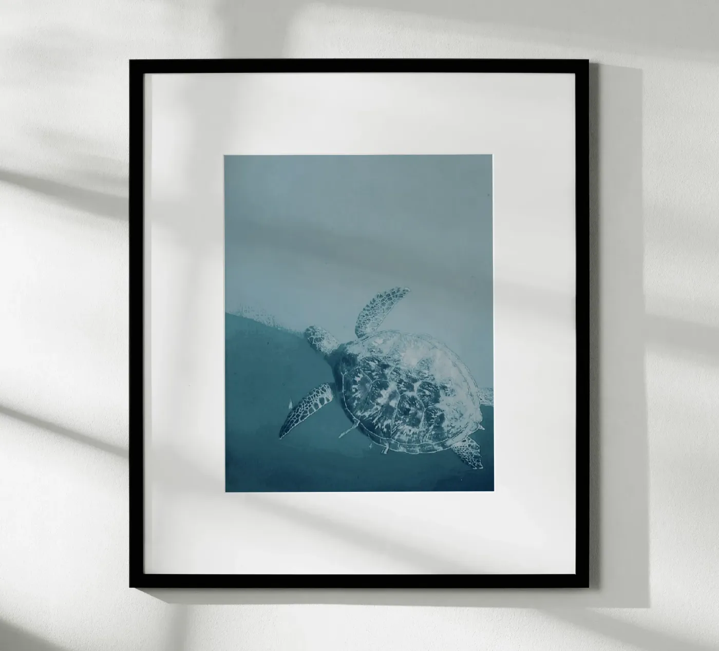 Turtle Swimming poster da Tabea Jule Photography