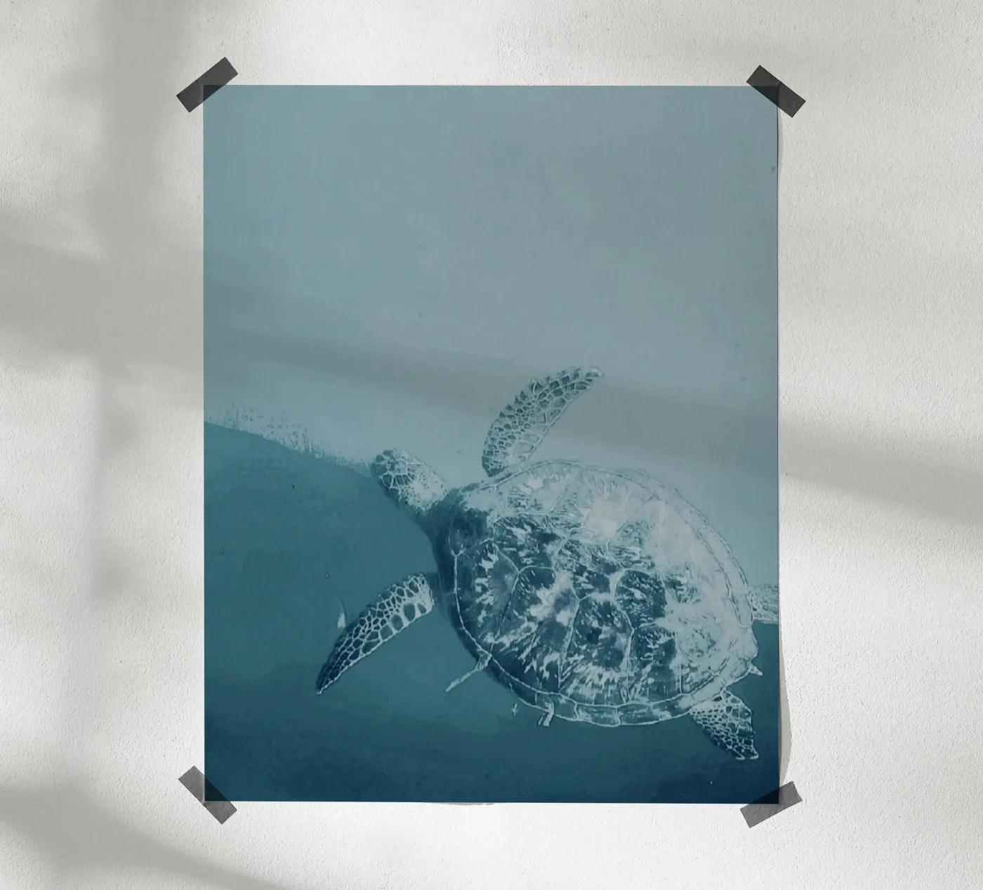 Turtle Swimming poster da Tabea Jule Photography