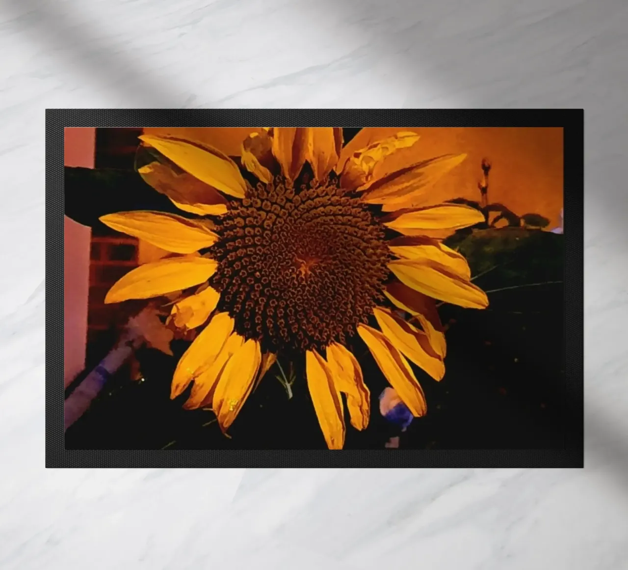 Sunflower zerbino da Tabea Jule Photography
