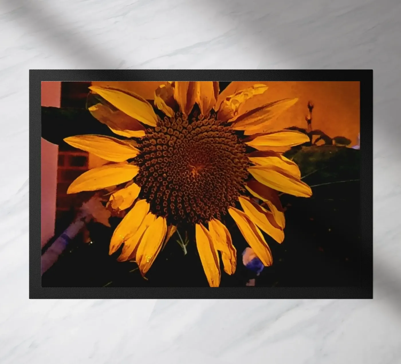 Sunflower zerbino da Tabea Jule Photography
