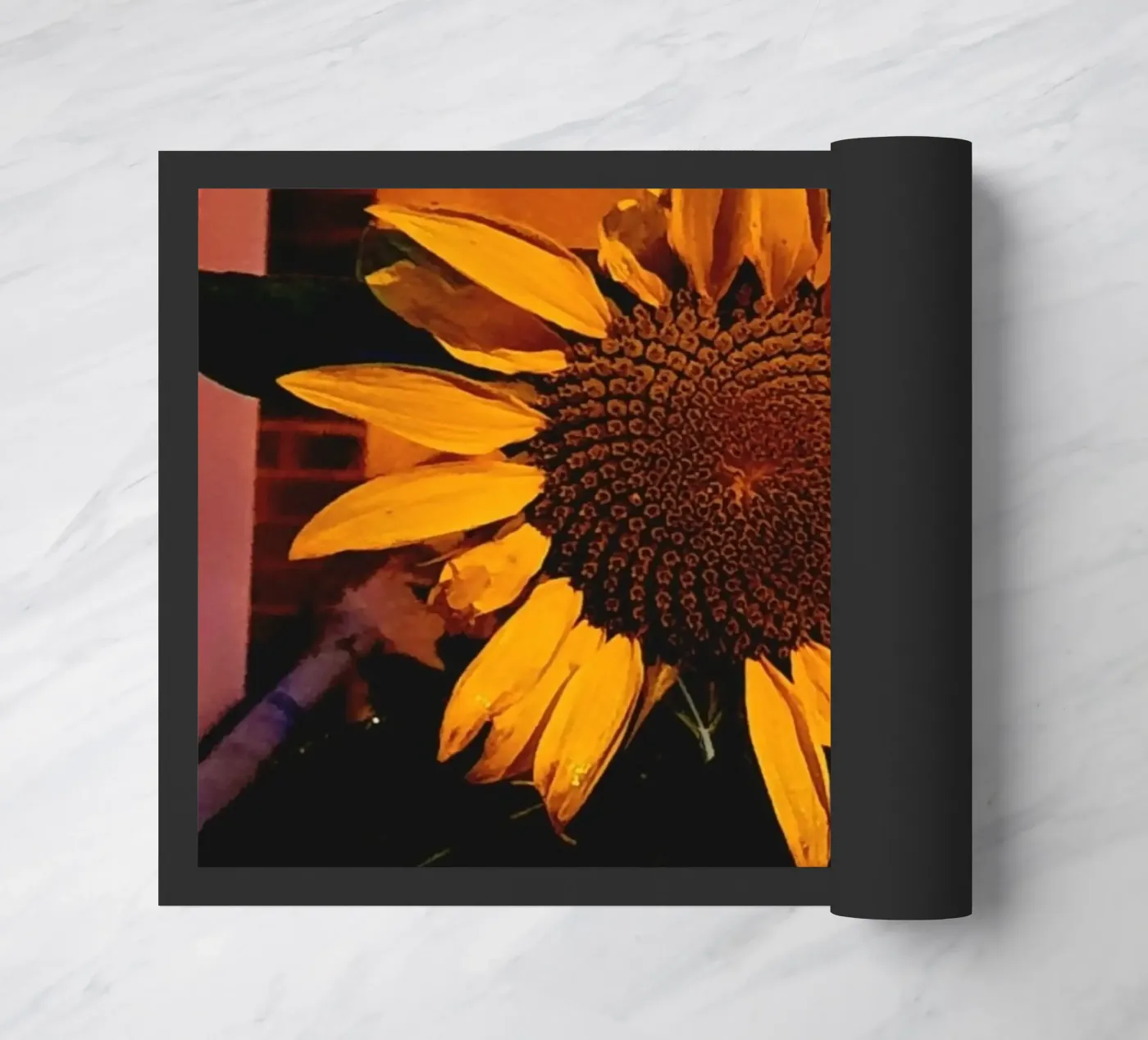 Sunflower zerbino da Tabea Jule Photography