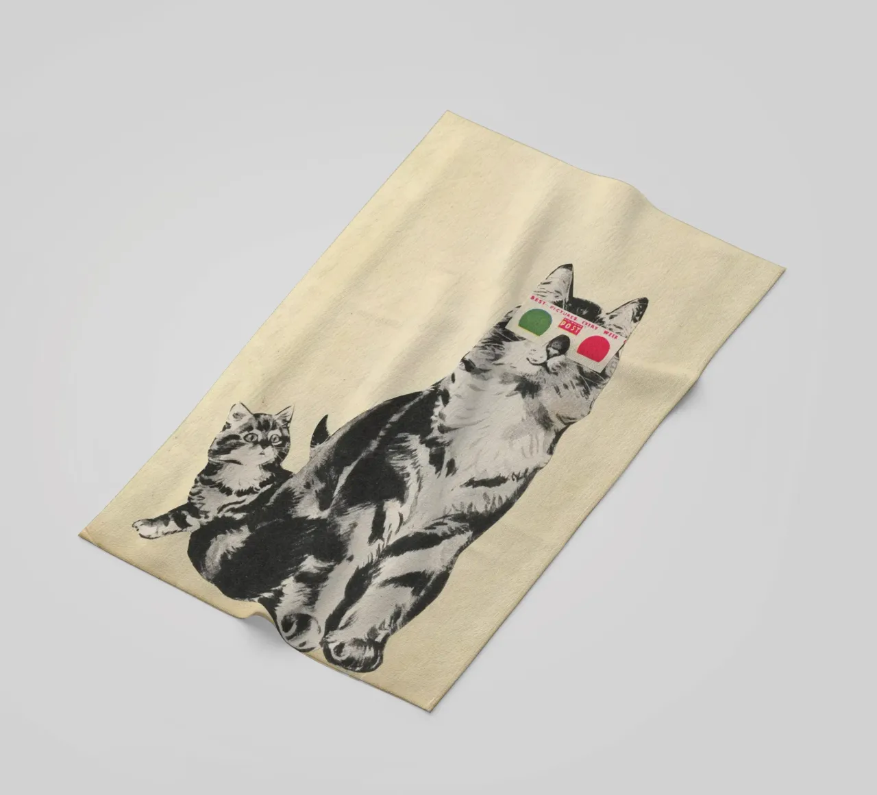 Occhiali 3D telo mare da Cassia Beck Collage