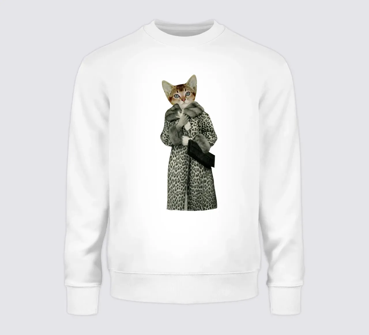 Gattino vestito da gatto felpa da Cassia Beck Collage