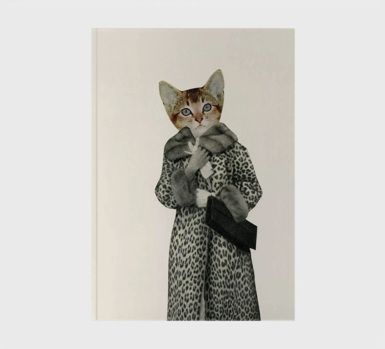 Kitten Dressed as Cat notebook by Cassia Beck Collage