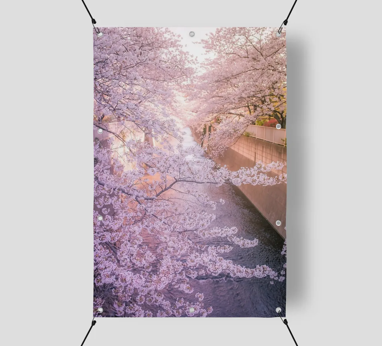 Sakura tree over Kanda Gawa river telo in pvc da Samuel Leonardo