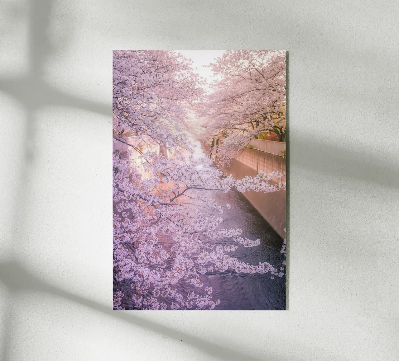Sakura tree over Kanda Gawa river plexiglass da Samuel Leonardo