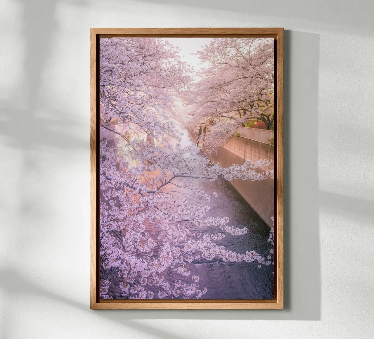 Sakura tree over Kanda Gawa river tela da Samuel Leonardo